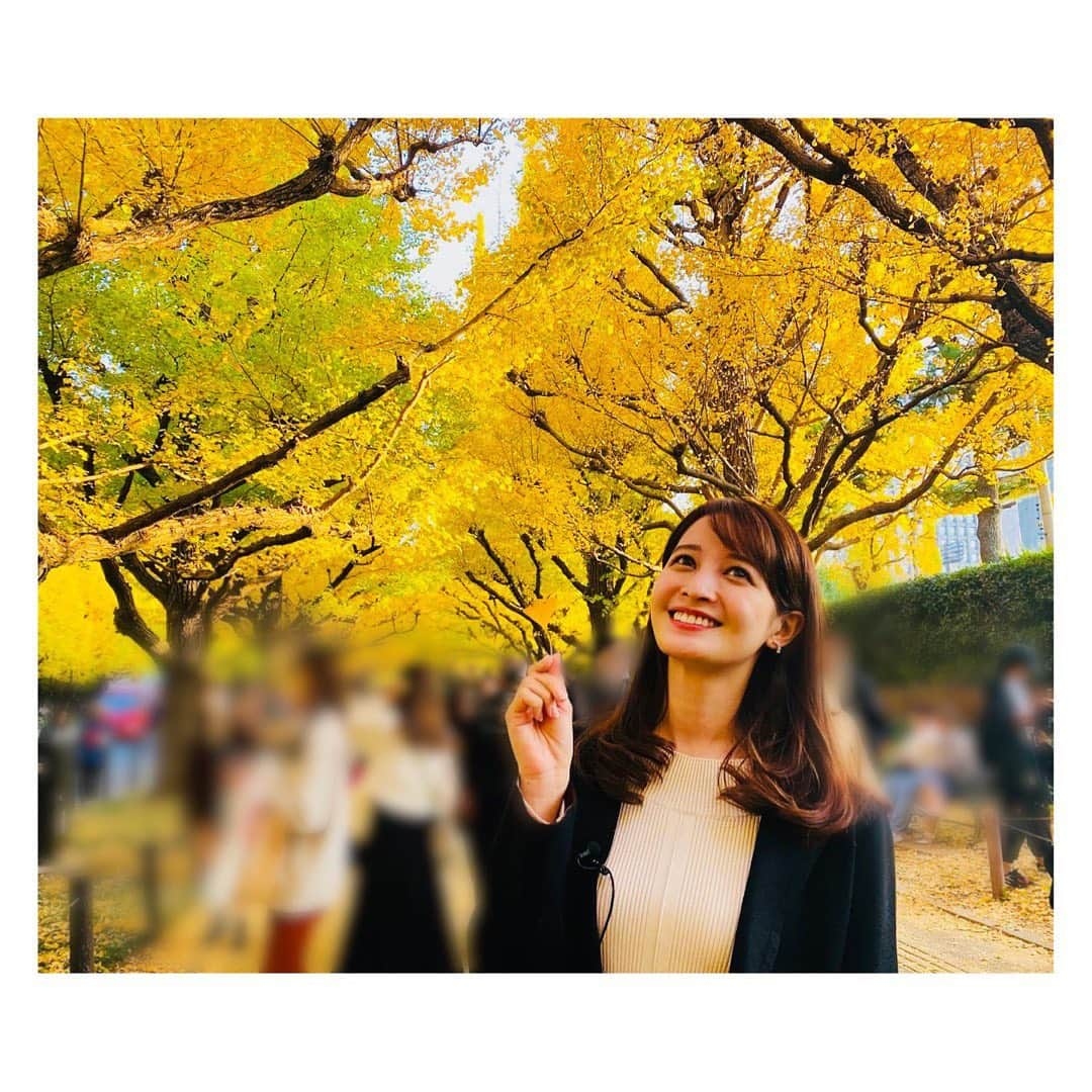 後呂有紗さんのインスタグラム写真 - (後呂有紗Instagram)「* 紅葉シーズン‼︎🍁🍁  先日、取材でイチョウ並木へ行きました🍁✨ 夕日にも照らされ、最高に綺麗〜🍁  吸い込まれるようで、癒されます✨  #紅葉　#銀杏並木 #バンキシャ」11月26日 21時13分 - ushiro_arisa