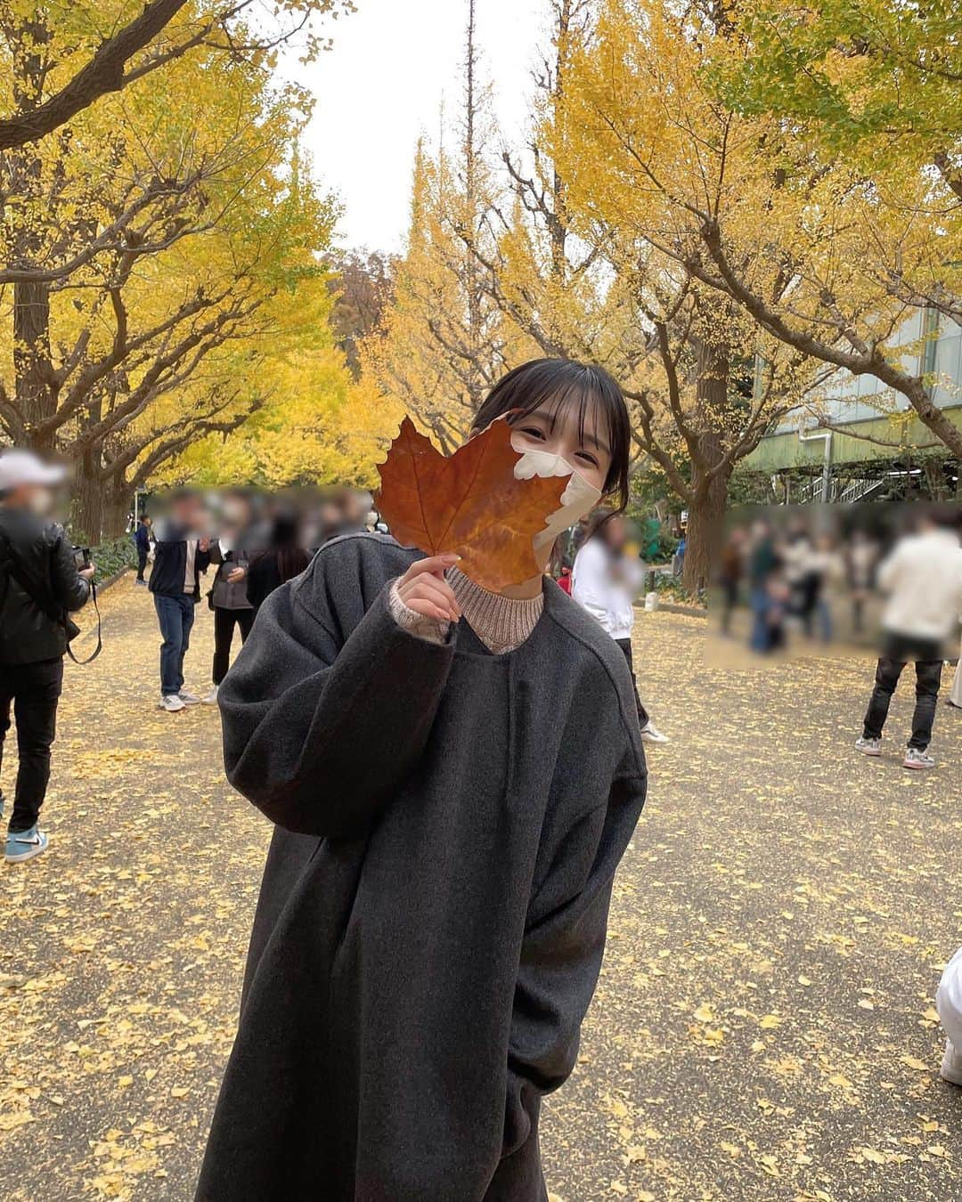 大園桃子さんのインスタグラム写真 - (大園桃子Instagram)「⁡ ⁡ 初めて銀杏並木行けた🦥🌾」11月26日 21時45分 - o.momoko_official