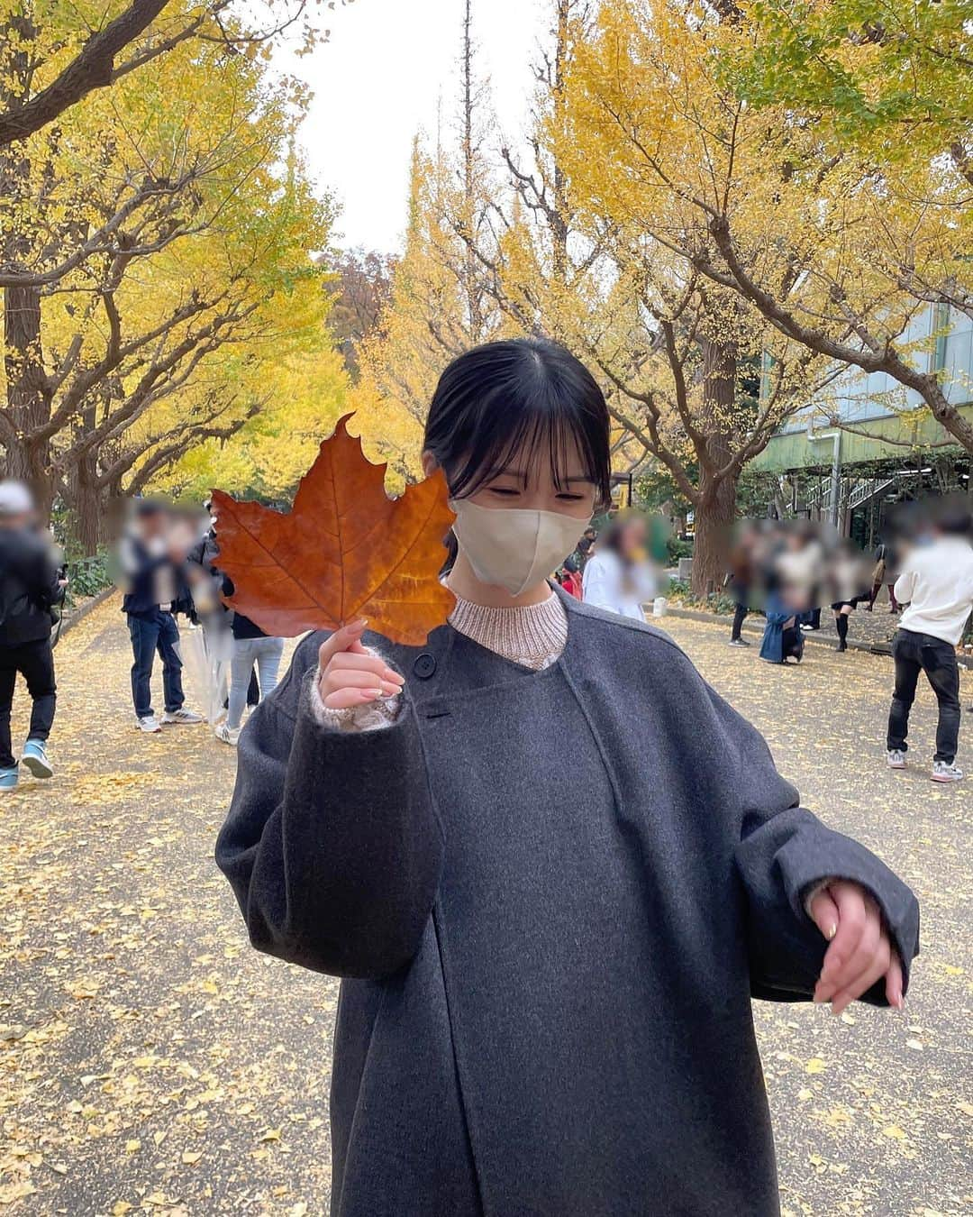 大園桃子さんのインスタグラム写真 - (大園桃子Instagram)「⁡ ⁡ 初めて銀杏並木行けた🦥🌾」11月26日 21時45分 - o.momoko_official