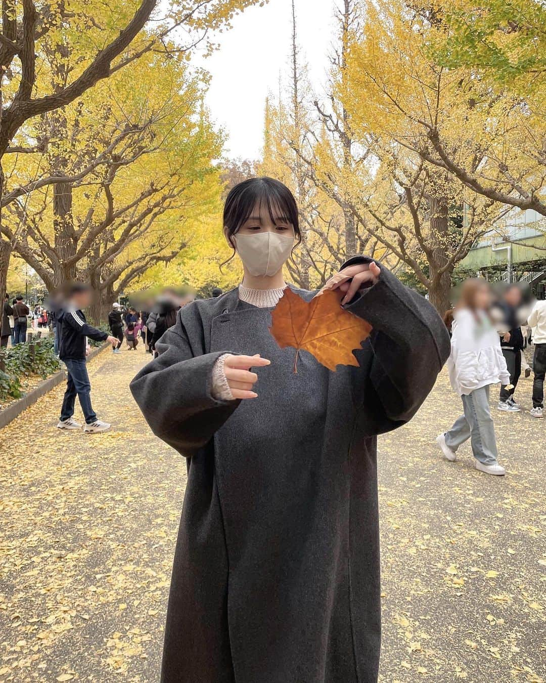 大園桃子さんのインスタグラム写真 - (大園桃子Instagram)「⁡ ⁡ 初めて銀杏並木行けた🦥🌾」11月26日 21時45分 - o.momoko_official