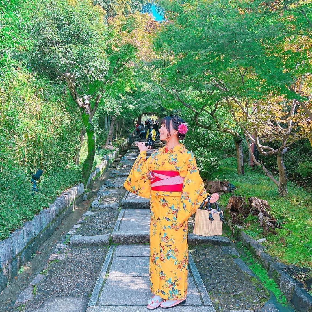 DJ MIYAさんのインスタグラム写真 - (DJ MIYAInstagram)「きゃっほー💖💖京都のねねの道にある【台所坂】というところです。 これを上がっていくと高台寺へ行けるそうです。 以前、真冬に高台寺のライトアップ見に来たことあったなー🤭(^O^)  秋の京都って今まで行ったことなかったかも💖 すごく良かった。  着物は　@rentalkimonookamoto  レンタル着物岡本さんの祇園店さまでおせわになりました💖  黄色の着物に帯はピンク👘髪飾りとかも選ぶの全部楽しかった。  あと超行列になってる中華気になった笑  撮影日:11月2日 2022日  #レンタル着物岡本 #祇園 #台所坂  #京都レンタル着物 #京都着物レンタル #京都女子旅 #着物散策 #京都散策 #京都旅行記  #旅ブロガー #旅インスタグラマー #京都観光 #インスタ映え #インスタグラマー #インフルエンサー #京都祇園 #タビジョ #旅好き女子 #旅インフルエンサー #京都旅行 #着物レンタル  #京都旅 #旅スタグラマー #トラベラー #トラベルインフルエンサー #旅行記 #京都 #関西旅行 #京都好き #そうだ京都行こう」11月27日 2時31分 - dj_miya