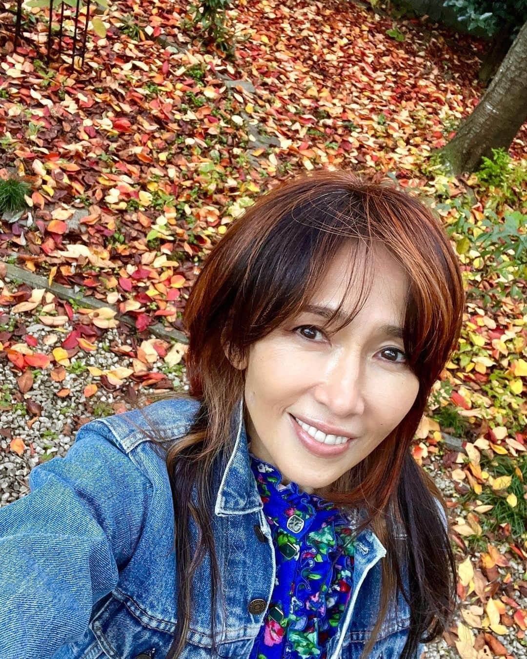 工藤静香さんのインスタグラム写真 - (工藤静香Instagram)「紅葉がとっても美しい✨✨🍁💕  エトくんもウキウキでした💕  ソメイヨシノの紅葉」11月27日 17時48分 - kudo_shizuka