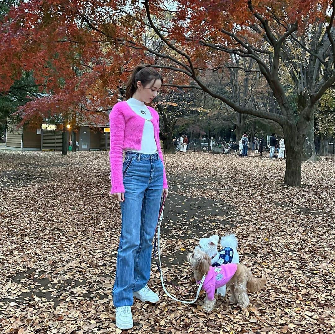 中町綾さんのインスタグラム写真 - (中町綾Instagram)「ピンクって最強🧠 だって落ち葉の中でも目立つからね！🫥」11月27日 20時00分 - ayanakamachi