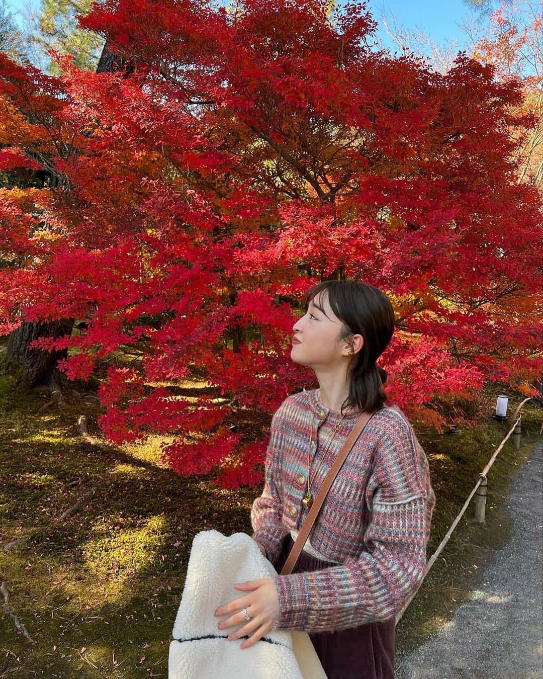 上西星来さんのインスタグラム写真 - (上西星来Instagram)「燃えるような紅葉を愛でて、色彩感覚を養う🍁🍂」11月27日 20時14分 - seira_jonishi_tpd