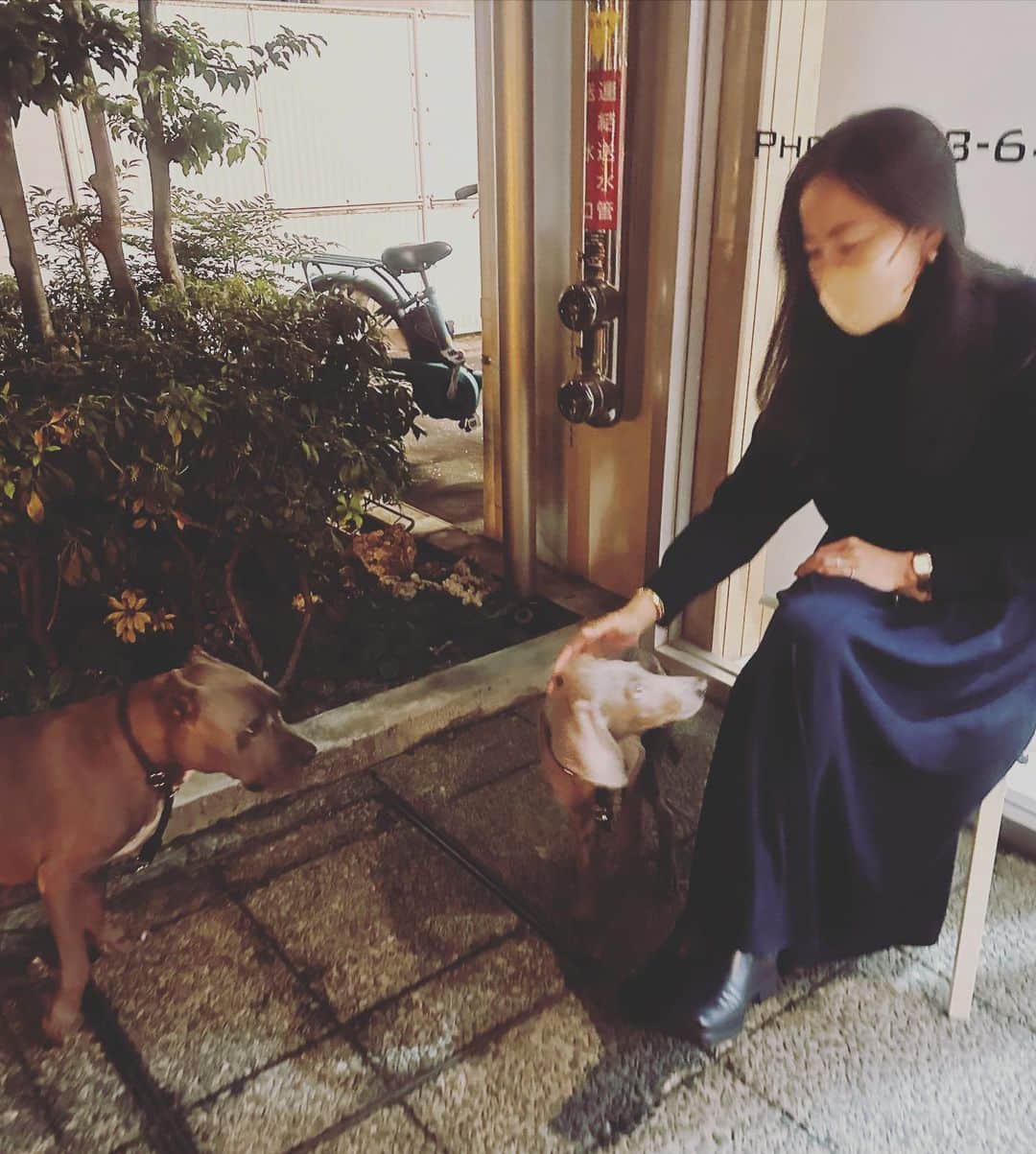 鈴木六夏さんのインスタグラム写真 - (鈴木六夏Instagram)「#B&P #ビスパピ」11月27日 22時37分 - rikuka.62