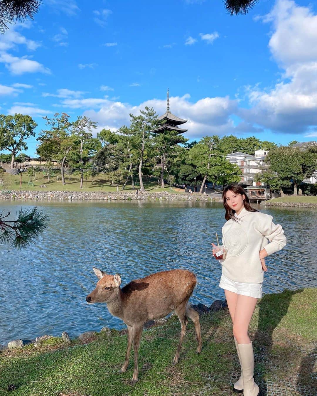 伊藤奈月さんのインスタグラム写真 - (伊藤奈月Instagram)「⁡ 早起きして 日帰り奈良🦌🌼 ⁡ 奈良公園だけじゃなくて 普通の街中にも 普通にシカいて驚いた〜 ⁡ 中学生のとき行った以来の 奈良だったけど 思ったよりシカだった〜🦌🦌🦌 ⁡ #奈良旅行  #奈良」11月27日 22時40分 - naachan__
