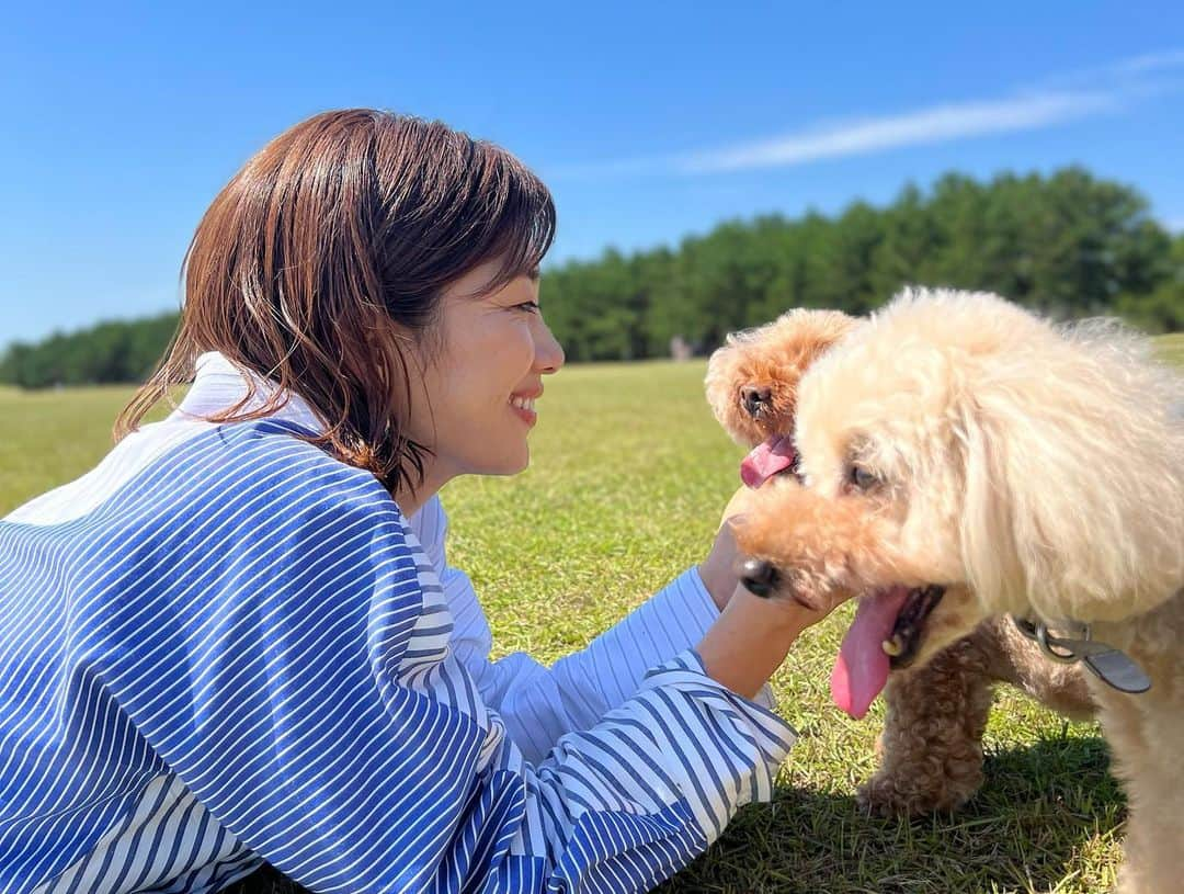 潮田玲子さんのインスタグラム写真 - (潮田玲子Instagram)「読売新聞の夕刊『交友録』にて、我が家の愛犬モコとアンと4回に渡り掲載して頂きました🤭 私と家族、アンとモコの関係をここまで改めて考えるのは初めてで、さらにとてもとても愛おしく感じました🥹💓 ちなみに本日の夕刊で4回目が掲載されますー😊🙏  この写真は全て夫が撮ってくれたんだけど、なかなかよく撮れてる🙆‍♀️🤭✌️  #読売新聞 #交友録 #愛犬と」11月28日 6時07分 - reikoshiota_official