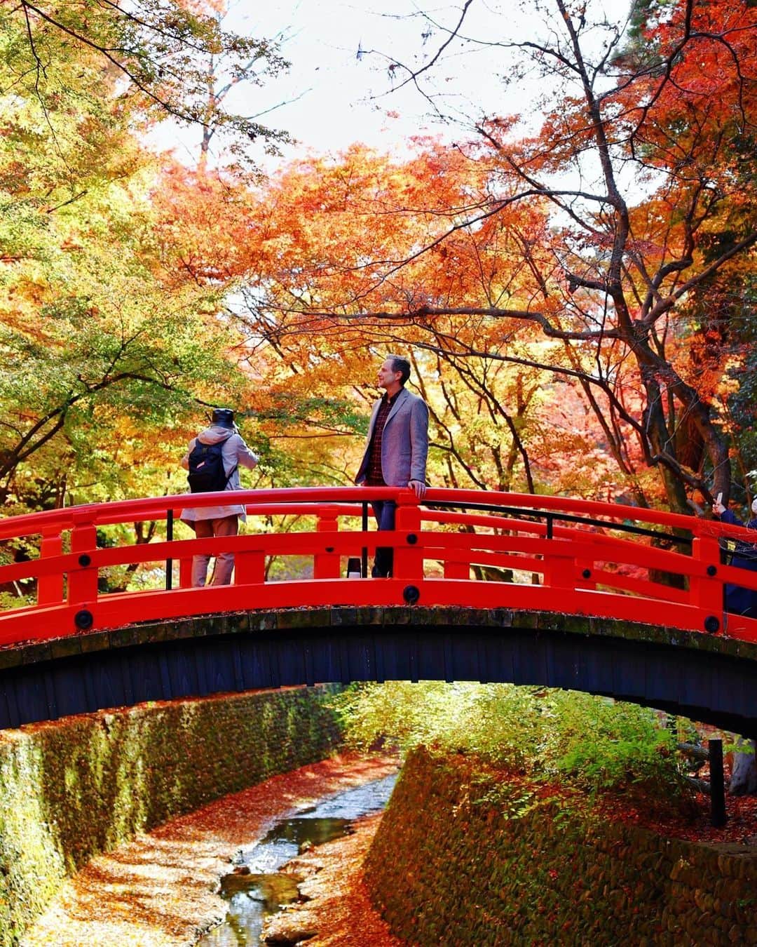 アンミカさんのインスタグラム写真 - (アンミカInstagram)「京都の紅葉🍁  初冬に入りましたがまだまだ陽射しが暖かく、昨年の極寒の中を紅葉狩りした思い出に比べてとても過ごしやすい朝です。  紅葉被りのアウターで、夫婦で紅葉狩りに行ってしまいました🍁  今回は旦那様自慢の、ふるさと納税で手に入れたカメラとレンズ📸で、私が旦那様を激写📸  春の桜🌸と秋の紅葉や銀杏🍁の季節は、必ず夫婦で京都を訪れ、心の深呼吸をします。  四季それぞれに美しさを持つ日本の魅力に、改めてこの数年で気付きました。  来年からは東北も訪れたいな😊  #夫婦旅　#京都　#紅葉狩り　@thechristinequinn」11月28日 9時58分 - ahnmikaofficial