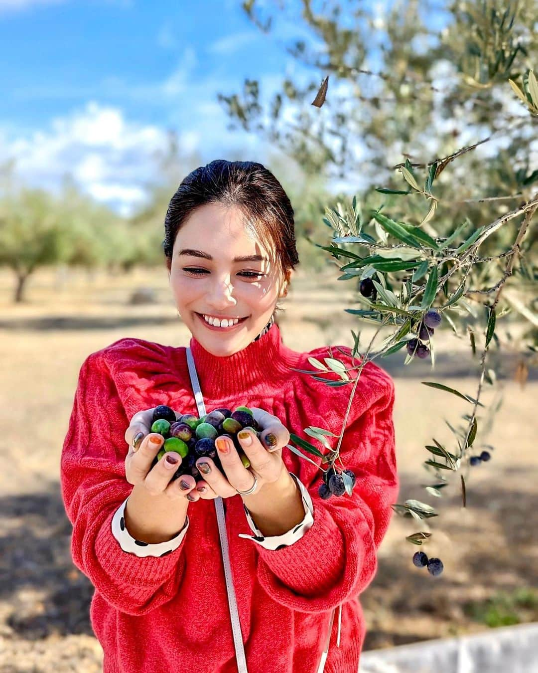 石井里奈さんのインスタグラム写真 - (石井里奈Instagram)「1780年から続くオリーブ農家🫒 Castillo de Canena カスティージョデカネナ	 . 2000ヘクタールのオリーブ畑👏 そこで収穫体験をさせてもらいました👨‍🌾🫒 手でもぐスタイル！お天気も良くてとっても楽しかった☀️︎💕︎ . 日本では生産地や品種を見ずにオリーブオイルを買うことが多いけどちゃんと品種があって味も香りと違うの🥺❗️ ピクアル、アルベッキーナ、そして在来品種のロヤル種が伝統式、密植式でここでは栽培されていてバイオダイナミック認証を取っている生産者👏 農家の前は工場見学もさせてもらったんだけどすごい管理されていて凄かった💜 採れたてのオリーブを機械に入れてすぐにオリーブオイルにしてくれてそれがまたすごく美味しかった🥺✨のでまた投稿するね🫶 . tops... @emporioarmani  shirts... @tomorrowland_jp  jeans... @yanuk_official  nails... @risa.ujunail  渡航前にりさちゃんにオリーブネイルしてもらったらピッタリでした🫒 それと無事日本に帰国しました🇯🇵 . @oliveoilsspainjp @castillodecanena  #oliveoilfromspain　#spanishoiliveoil #Spain #spanishproduct #helthylifestyle #triptospain #スペイン産オリーブオイル #スペイン　#castillodecanena #オリーブ畑 #農家 #収穫 #畑 #野菜」11月28日 13時43分 - ri7tin1025