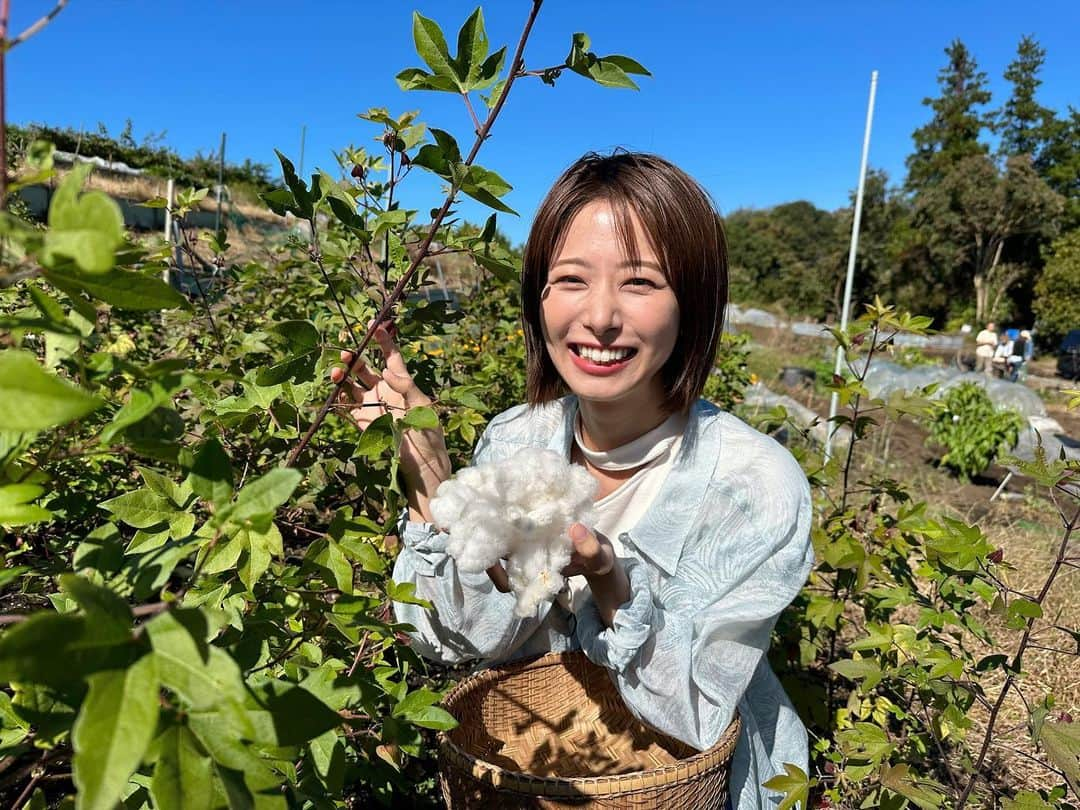 海老原優香さんのインスタグラム写真 - (海老原優香Instagram)「🌱  畑の和綿を収穫して、糸を紡ぎ コースターを作ってみました🧶  良くお花屋さんで見かける このモフモフは綿だったんですね〜😳  #サステナwave  #オーガニックコットン」11月28日 19時46分 - ebioffi