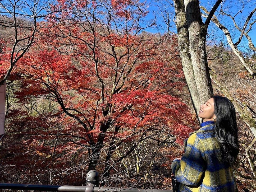SAYAKAさんのインスタグラム写真 - (SAYAKAInstagram)「最近冬の匂いがする… 冷たい空気を吸うのすき🫶」11月28日 20時15分 - im_sayaka_official