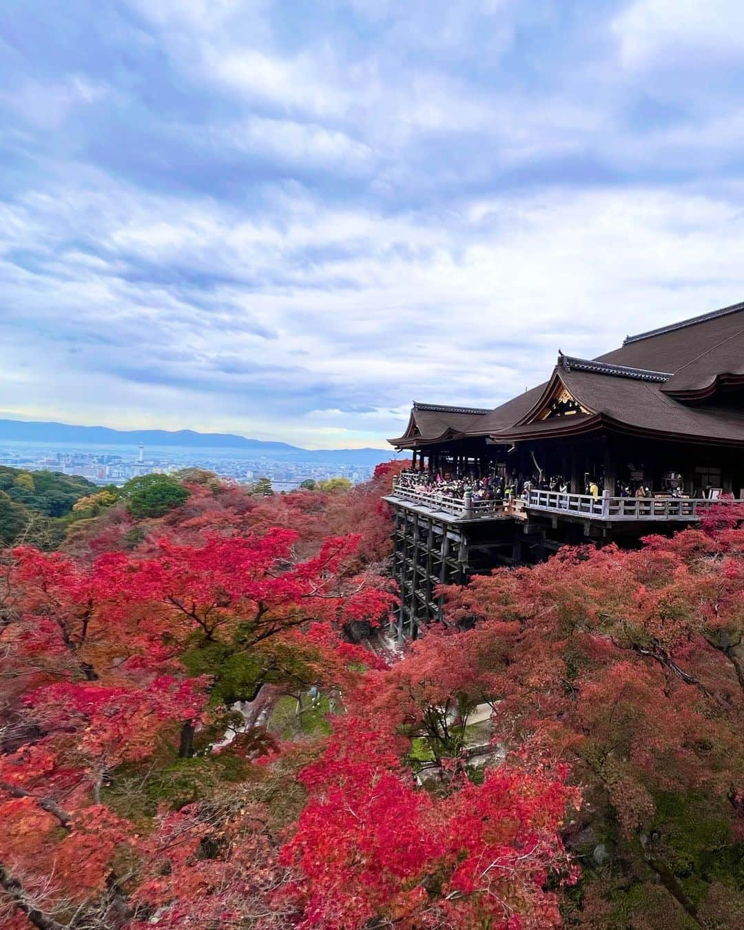 駒田奈美さんのインスタグラム写真 - (駒田奈美Instagram)「・ ・ ・ 『清水寺』 ・ ・ 先週紅葉をみに京都へ ・ ・ 清水寺の紅葉 ・ ・ 真っ赤に色づいたもみじの葉 ・ ・ ・ #京都紅葉 #モデル#アラフィフ#美魔女#京都#清水寺#もみじ#駒田奈美#京都観光」11月28日 21時55分 - nami.komada