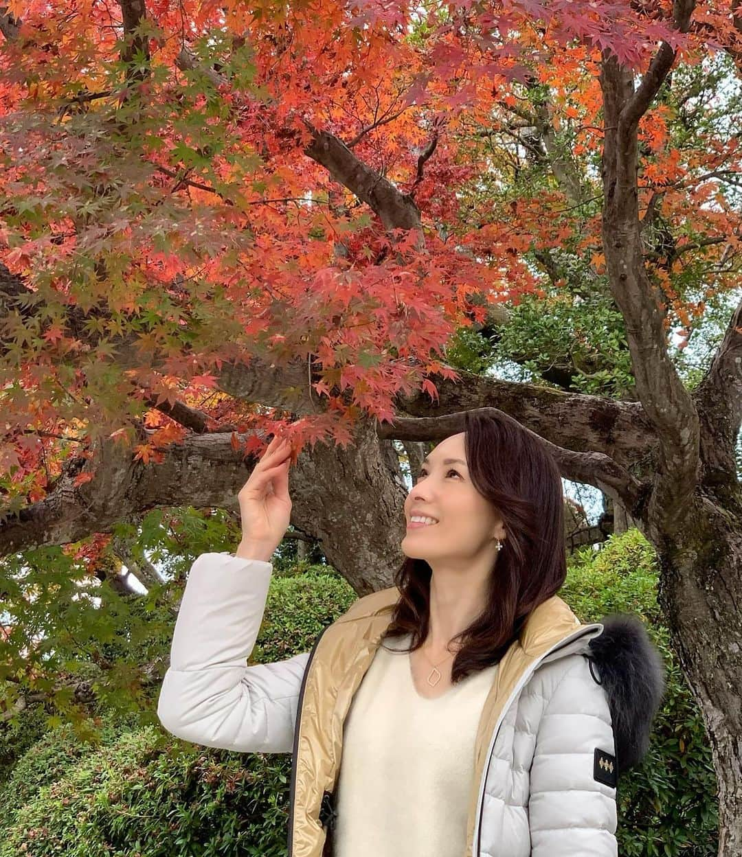 駒田奈美さんのインスタグラム写真 - (駒田奈美Instagram)「・ ・ ・ 『かわいい』 ・ ・ 間近で見るもみじ🍁 ・ ・ かわいい… ・ ・ ・ #駒田奈美#モデル#アラフィフ#美魔女#京都#京都紅葉 #紅葉#紅葉スポット #もみじ #清水寺」11月28日 22時11分 - nami.komada