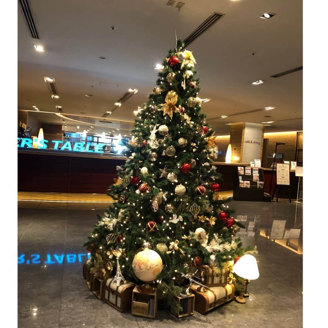 小野真弓さんのインスタグラム写真 - (小野真弓Instagram)「おはようございます☺️🎄✨ 街はクリスマスモードですね^_^  あっちへ、こっちへ、 いろいろと、、 お仕事かーさん☺️ 🚗✈️🙋‍♀️🐾✂️  撮影モードと、動物モードと、 ある意味真逆のお仕事を〜 行ったり来たりと、 楽しんでおります☺️  撮影モードは、表方👗✨ 動物モードは、裏方🥷🍃  どちらのモードでいても、 反対側を想像しながら、いろんなことに 向き合えるようになった気がしています〜( ´ ▽ ` ) 毎日、おもちろさ倍増😆✨  本日は表方。 頑張ります〜＼(^ω^)／✨  良い一日にしましょー🍀😆  #お仕事かーさん#衣装 #ワンピース#収録 #昨日はトリマーかーさんでした #チワワ#ハナちゃん #チワマル#ハルくん #雑種猫兄妹#アオくん#ナナちゃん #お泊まり猫#ちりんくん #犬と猫のいる暮らし#犬猫日記 🐾 #家族募集猫#人馴れ修行中 #黒猫#くーちゃん 🐾 #卒業子猫#家族の元で幸せな子猫 #元野良#保護子猫 #風くん#鈴ちゃん#音ちゃん 🐱🐱🐱 風鈴音の、幸せ報告🥺❤️  少し前に、我が家でお世話をしていた、 子猫3兄妹、風鈴音🎐✨ 覚えてらっしゃる方いますか❓^_^  お外で産まれ、風邪をひいていて ボロボロ、ガリガリの状態だった仔猫たちでしたが、 こんなに幸せな様子の、 お写真を頂きました😭❤️ 本当に嬉しい✨ 応援してくださってた皆様に 幸せ気分のお裾分け〜✨  関わらせてもらった保護動物の 幸せな様子を見させてもらい、 私も、とってもあたたかい気持ちを頂いています✨ 感謝です🥲💘」11月29日 9時42分 - hanaharuaroi