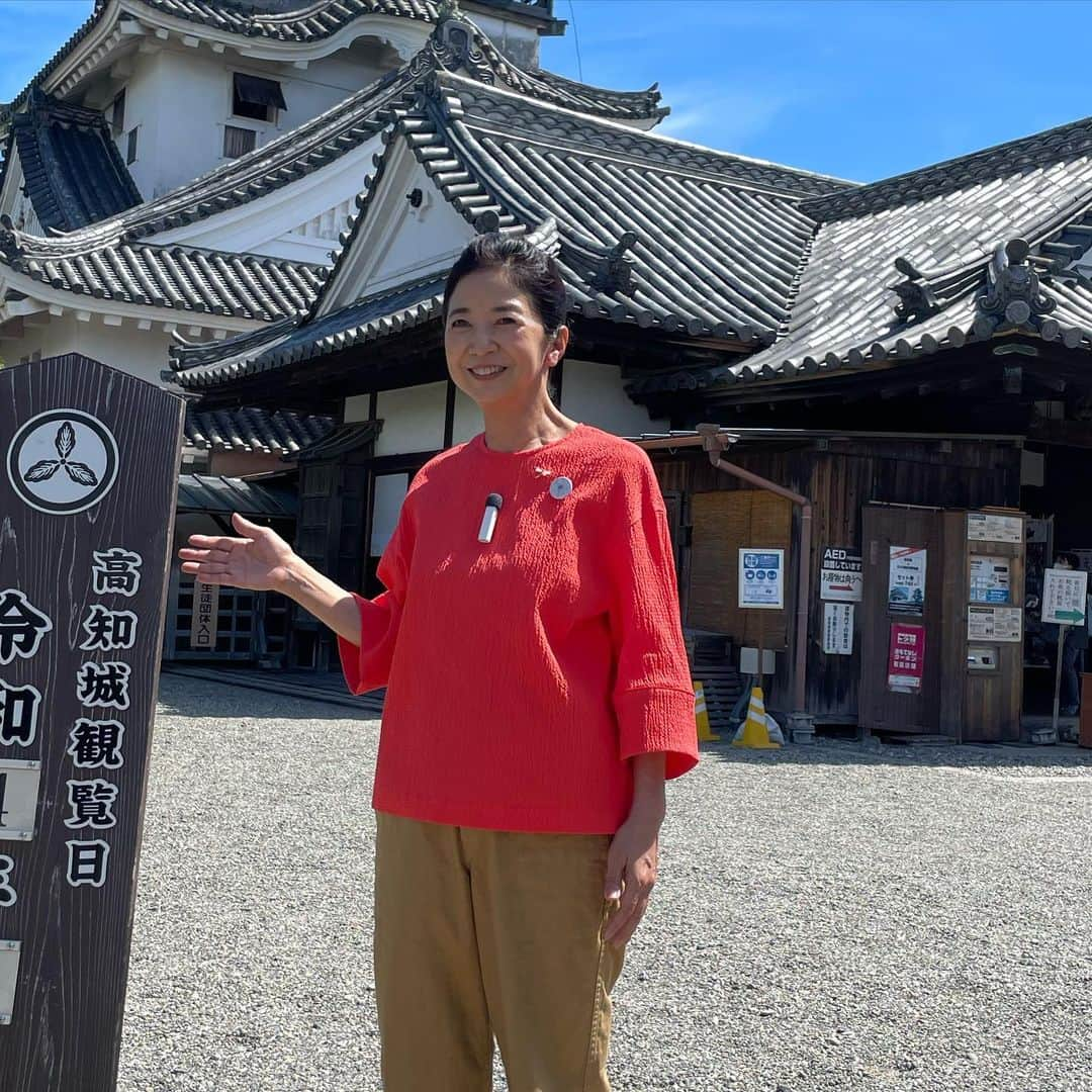 宮崎美子さんのインスタグラム写真 - (宮崎美子Instagram)「皆さん、こんにちは。 今週のYouTubeよしよし。は、高知編パート3です。  高知城に行ったり、珊瑚加工所に行って、いよいよジュエリーとして形になる工程を確認したりしております。  夜の街をブラリして、皿鉢料理も堪能しております。  ぜひ、見てくださいね。  #youtube #宮崎美子 #高知 #珊瑚 #皿鉢料理」11月29日 11時00分 - miyazakiyoshiko.official