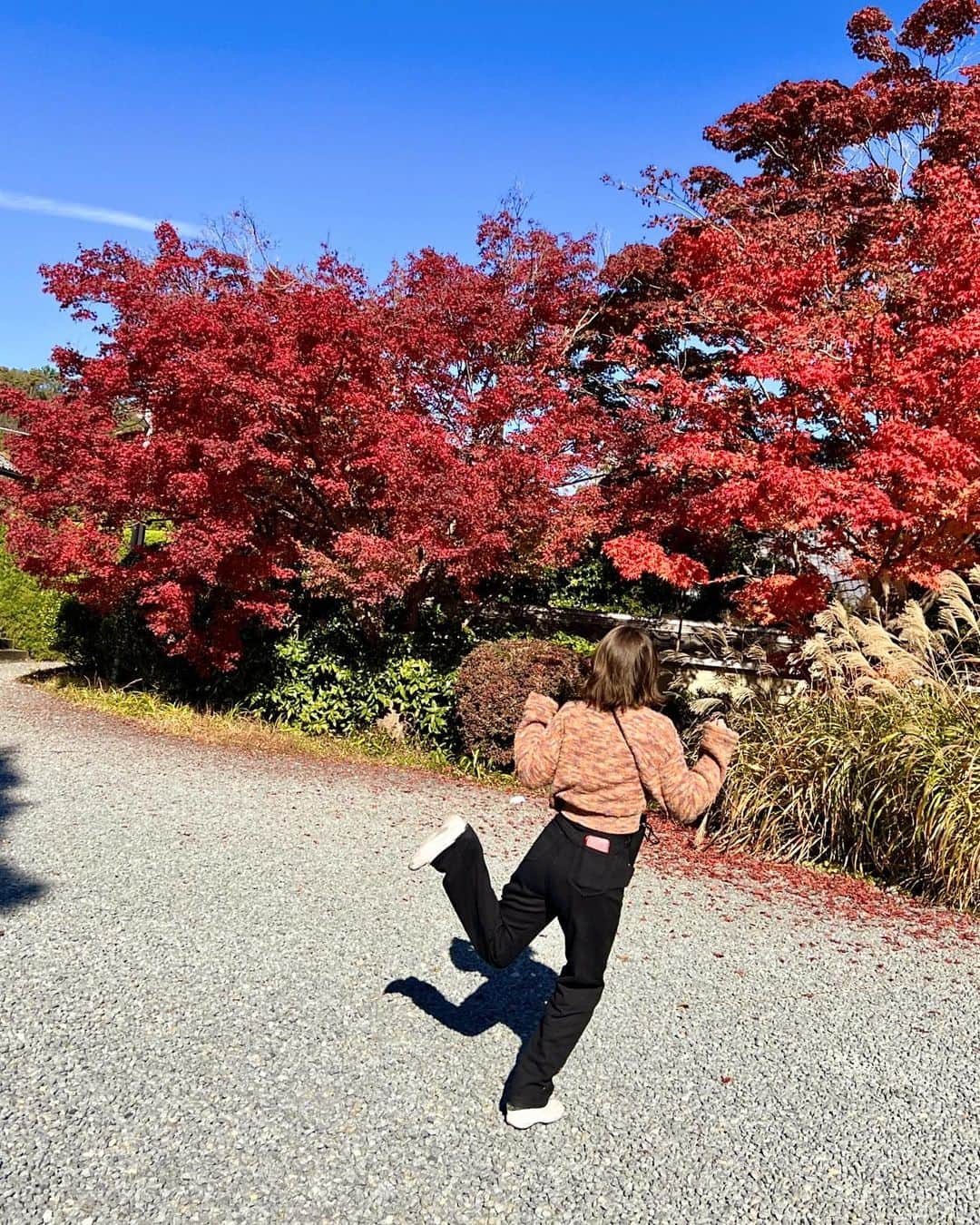 フミカさんのインスタグラム写真 - (フミカInstagram)「. . 紅葉🍁ベストシーズンに京都へ♪  【秋】という季節を存分に満喫できて 1番最後の写真、面白いことになりました❤︎  んー、秋をこんなに満喫したのは いつぶりだろう？というぐらいです✨  だからこそ今回 季節を身をもって感じることは 心が豊かに、人生こそ豊かになるなぁ、と 大切なことを教えてくれた気がします🍁  #フミカ#女優#グラビア#actress #京都#紅葉#京都紅葉#旅」11月29日 13時07分 - fu_mi_ka_516