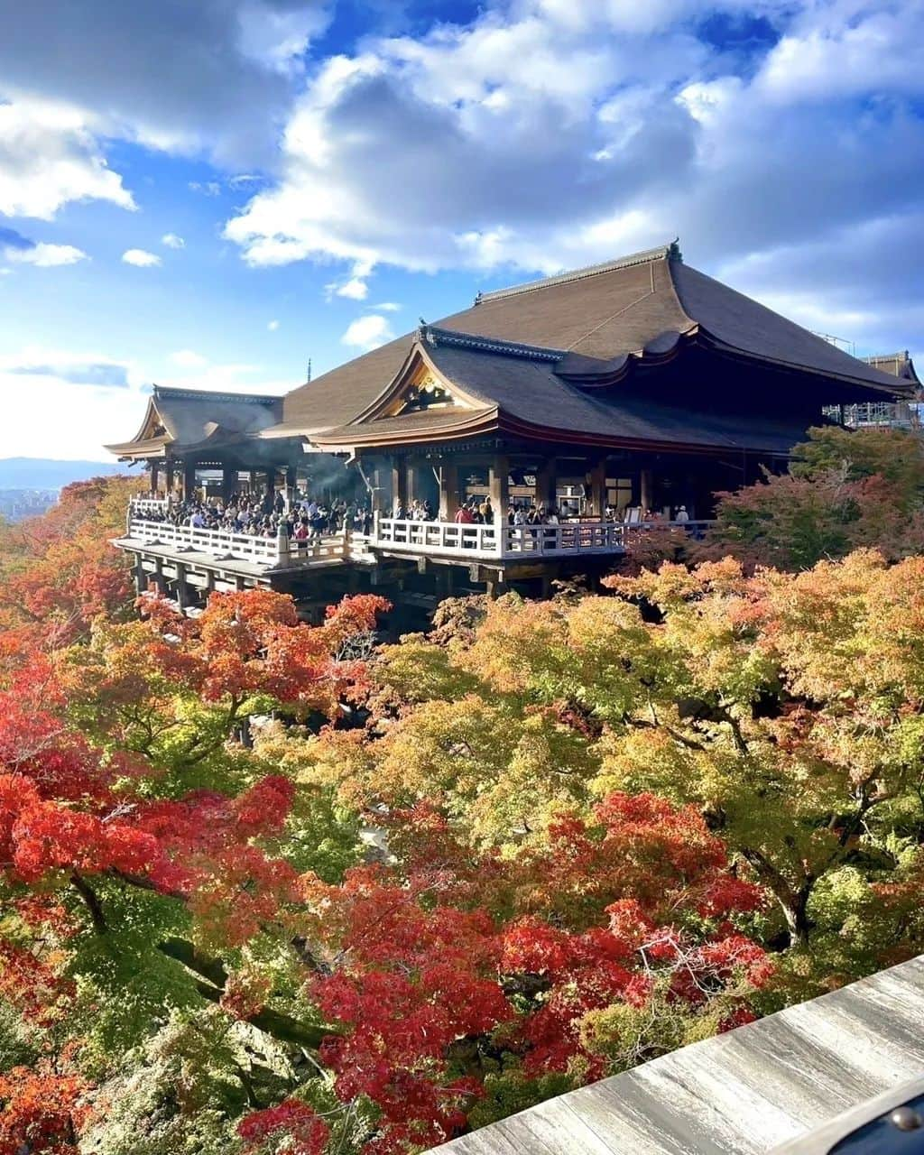 森﨑美月さんのインスタグラム写真 - (森﨑美月Instagram)「🏯🍁  修学旅行に行って来ました！  お供に連れていったMILK FEDのリュック~  閉めると見えなくなるファスナーだから、スッキリ大人っぽでお気に入りなんだ👌🏻♡  そして 旅行の思い出に浸る間もなくヒタヒタと迫るテスト。。。🙀泣  ⁑ ⁑  #seventeen #セブンティーン#モデル #森﨑美月 ＃美月 #jc #中学生 #07 #私服 #milkfed #リュック #京都 #修学旅行 #12/1はSeventeen冬号発売日✨」11月29日 17時06分 - morisaki_mizuki_