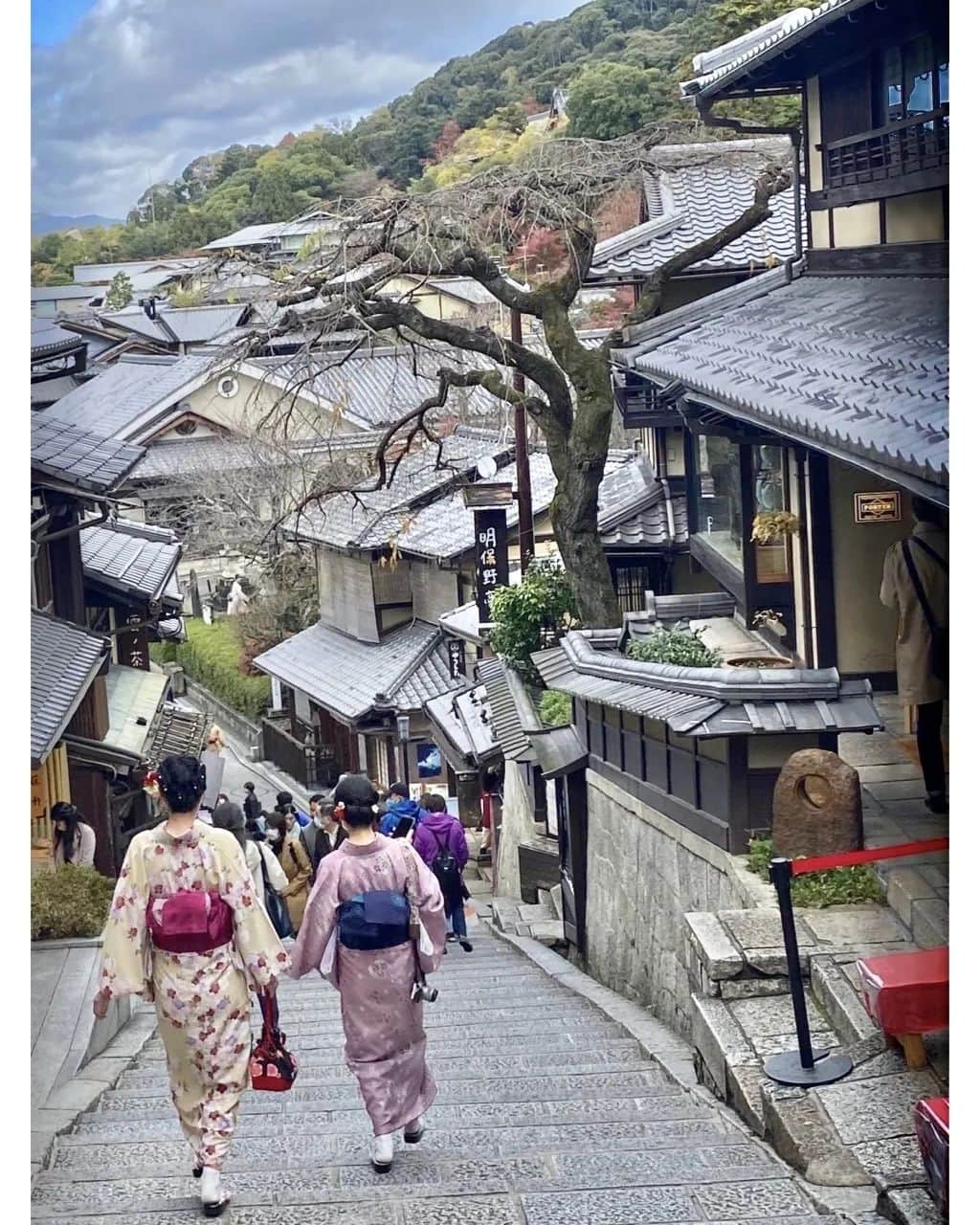 森﨑美月さんのインスタグラム写真 - (森﨑美月Instagram)「🏯🍁  修学旅行に行って来ました！  お供に連れていったMILK FEDのリュック~  閉めると見えなくなるファスナーだから、スッキリ大人っぽでお気に入りなんだ👌🏻♡  そして 旅行の思い出に浸る間もなくヒタヒタと迫るテスト。。。🙀泣  ⁑ ⁑  #seventeen #セブンティーン#モデル #森﨑美月 ＃美月 #jc #中学生 #07 #私服 #milkfed #リュック #京都 #修学旅行 #12/1はSeventeen冬号発売日✨」11月29日 17時06分 - morisaki_mizuki_