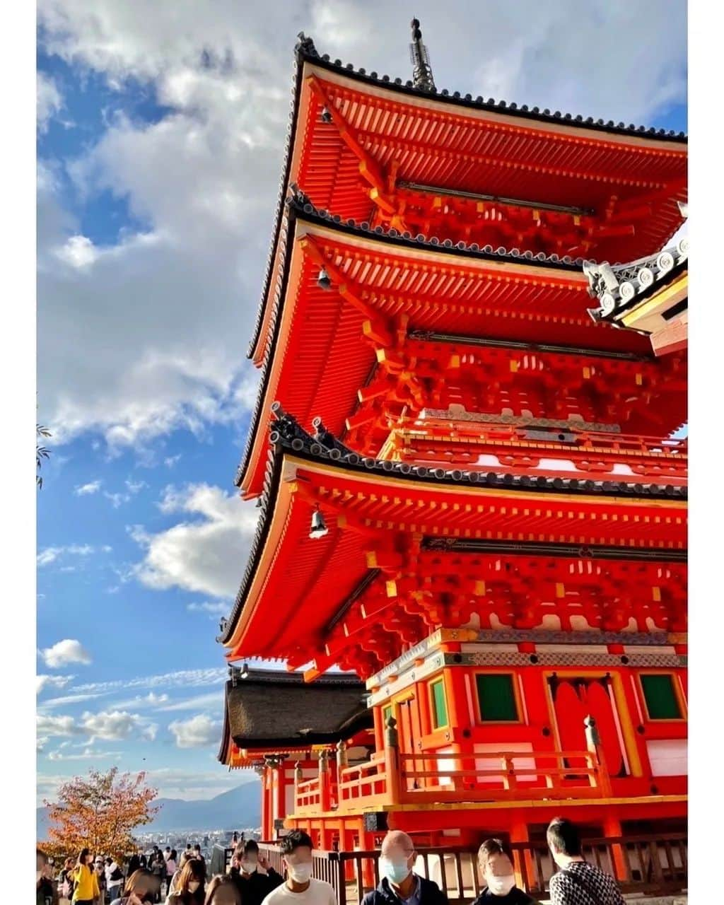 森﨑美月さんのインスタグラム写真 - (森﨑美月Instagram)「🏯🍁  修学旅行に行って来ました！  お供に連れていったMILK FEDのリュック~  閉めると見えなくなるファスナーだから、スッキリ大人っぽでお気に入りなんだ👌🏻♡  そして 旅行の思い出に浸る間もなくヒタヒタと迫るテスト。。。🙀泣  ⁑ ⁑  #seventeen #セブンティーン#モデル #森﨑美月 ＃美月 #jc #中学生 #07 #私服 #milkfed #リュック #京都 #修学旅行 #12/1はSeventeen冬号発売日✨」11月29日 17時06分 - morisaki_mizuki_