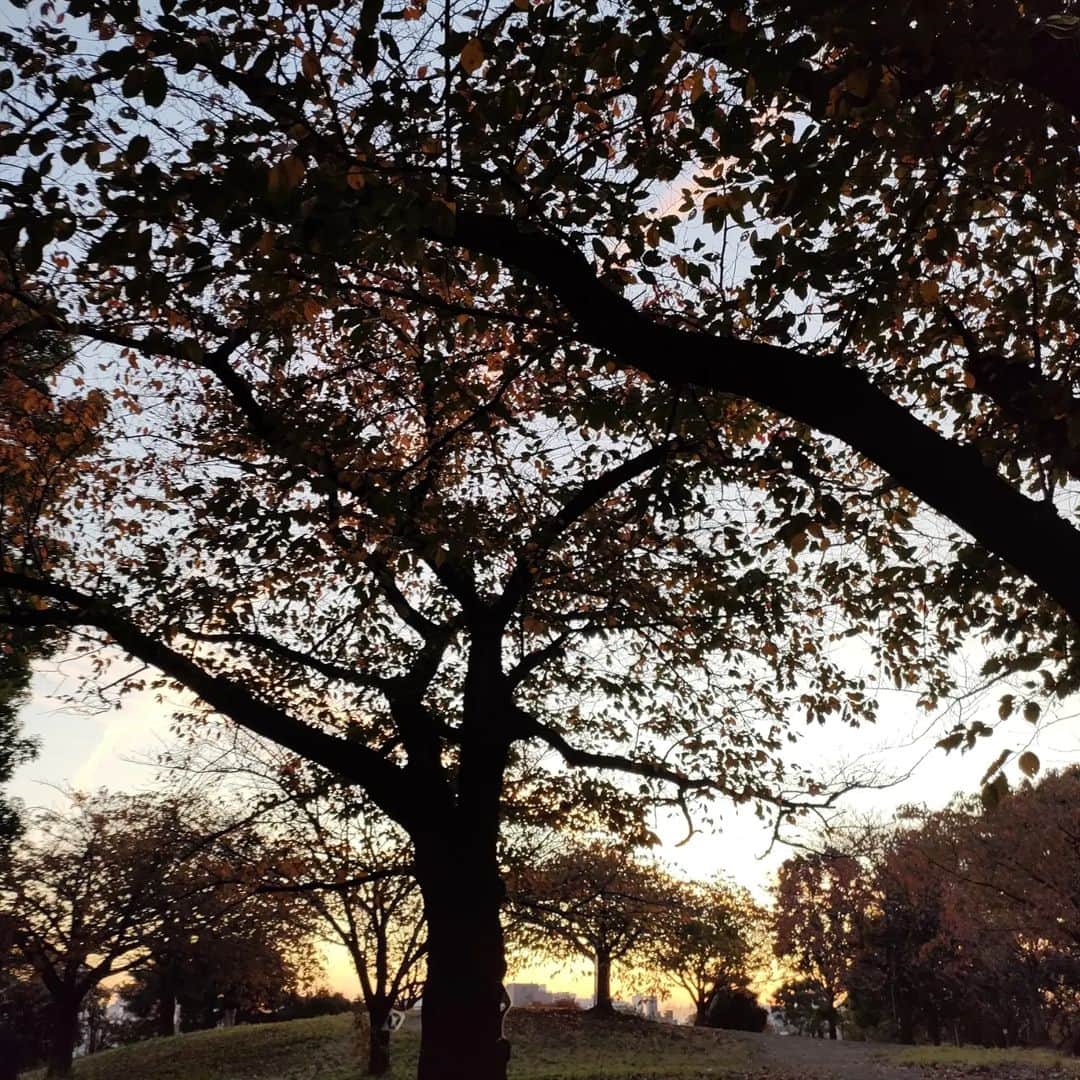 工藤里紗さんのインスタグラム写真 - (工藤里紗Instagram)「都会に咲く花& いつかの夕焼けとひこーき雲 いつも人が居ない場所なのに 皆立ち止まって 写真撮ったり眺めたり。 同じ目的で、それが 綺麗な景色🪐 っていうのがなんだか 平和で嬉しかった時間。」11月29日 18時50分 - risa910104