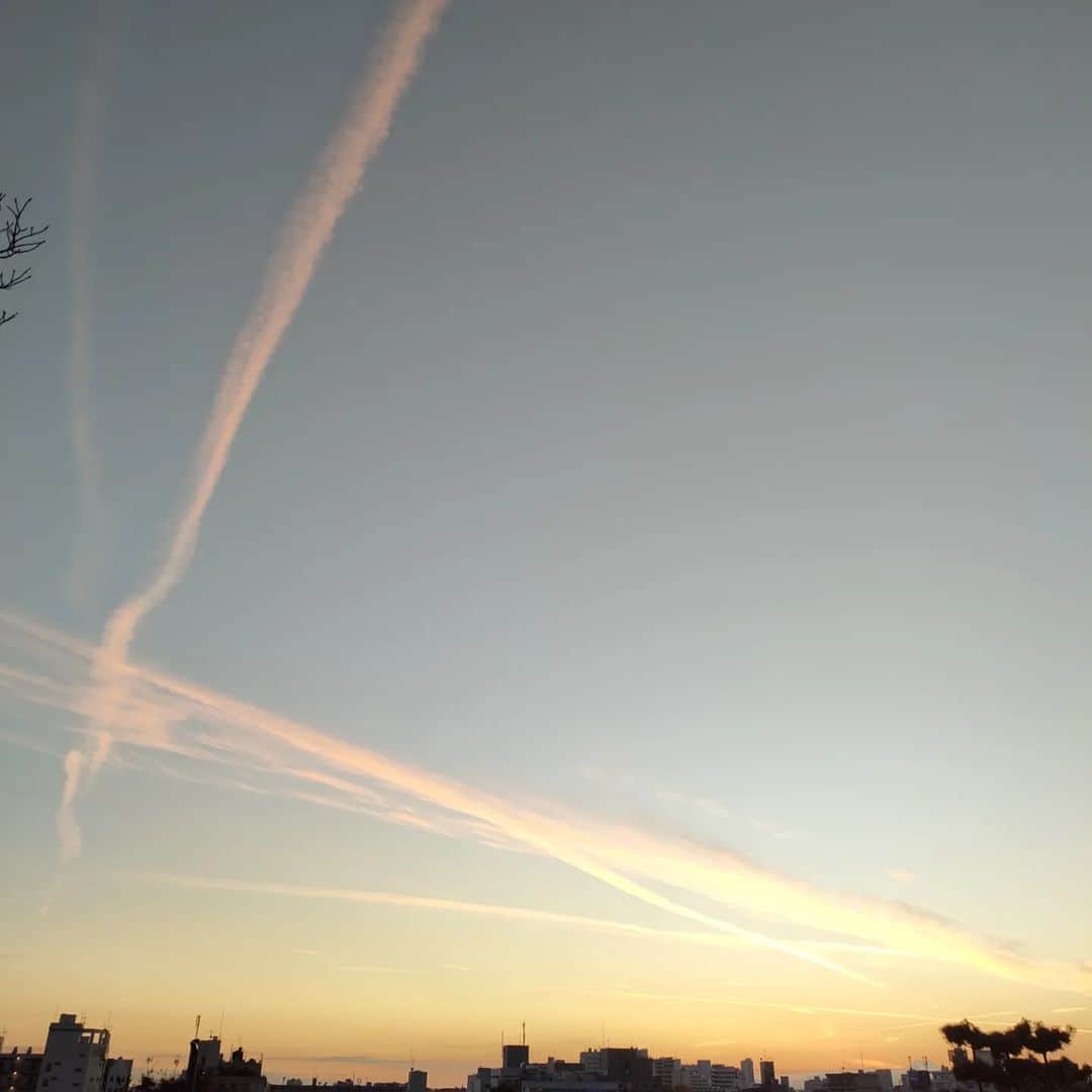 工藤里紗さんのインスタグラム写真 - (工藤里紗Instagram)「都会に咲く花& いつかの夕焼けとひこーき雲 いつも人が居ない場所なのに 皆立ち止まって 写真撮ったり眺めたり。 同じ目的で、それが 綺麗な景色🪐 っていうのがなんだか 平和で嬉しかった時間。」11月29日 18時50分 - risa910104