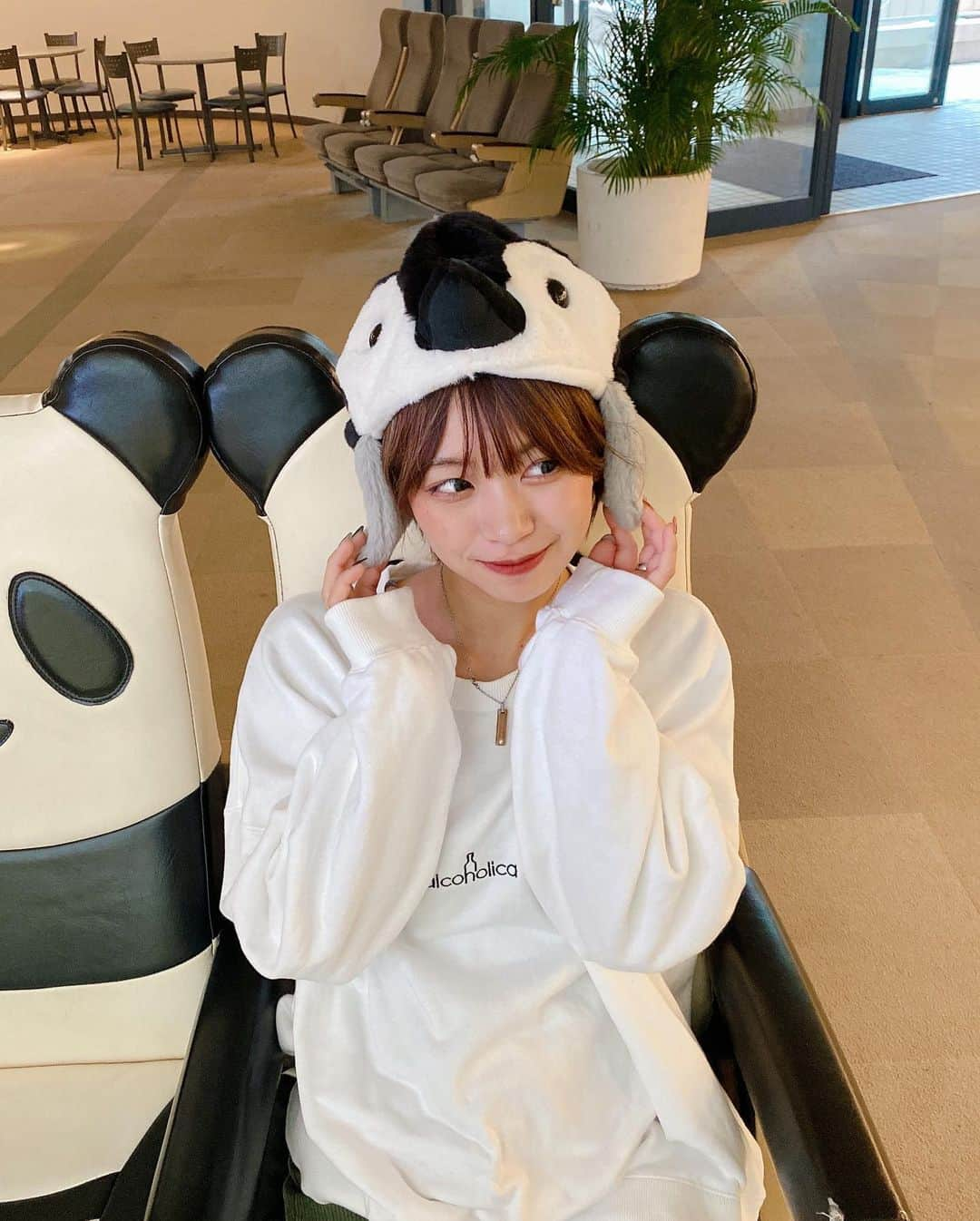 小坂田純奈さんのインスタグラム写真 - (小坂田純奈Instagram)「パンダの椅子に座るペンギン🐧  大雨だったけど楽しかった和歌山最高🏖🔥  #アドベンチャーワールド #和歌山観光 #和歌山旅行 #白浜旅行 #南紀白浜」11月29日 21時27分 - official_junata