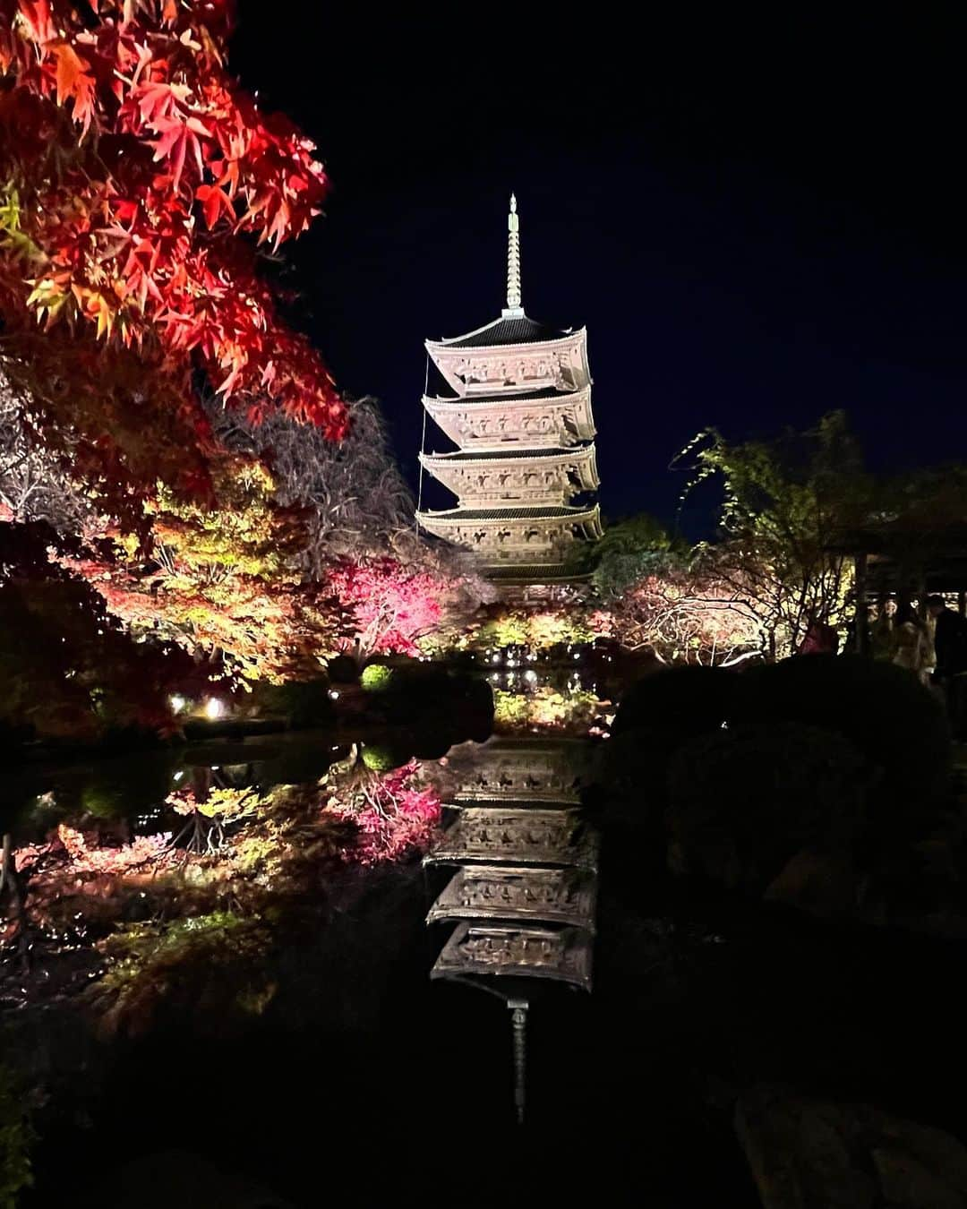 駒田奈美さんのインスタグラム写真 - (駒田奈美Instagram)「・ ・ ・ 『紅葉ライトアップと夜間特別拝観』 ・ ・ 東寺のライトアップへ ・ ・ 五重塔と紅葉のライトアップは幻想的 ・ ・　 その美しさに思わずため息がでてしまいます ・ ・ ・ #京都紅葉 #京都#紅葉#ライトアップ#東寺#もみじ#夜間#夜間特別拝観#五重塔#五重塔ライトアップ #美しい#幻想的#駒田奈美#モデル#アラフィフ」11月29日 21時38分 - nami.komada