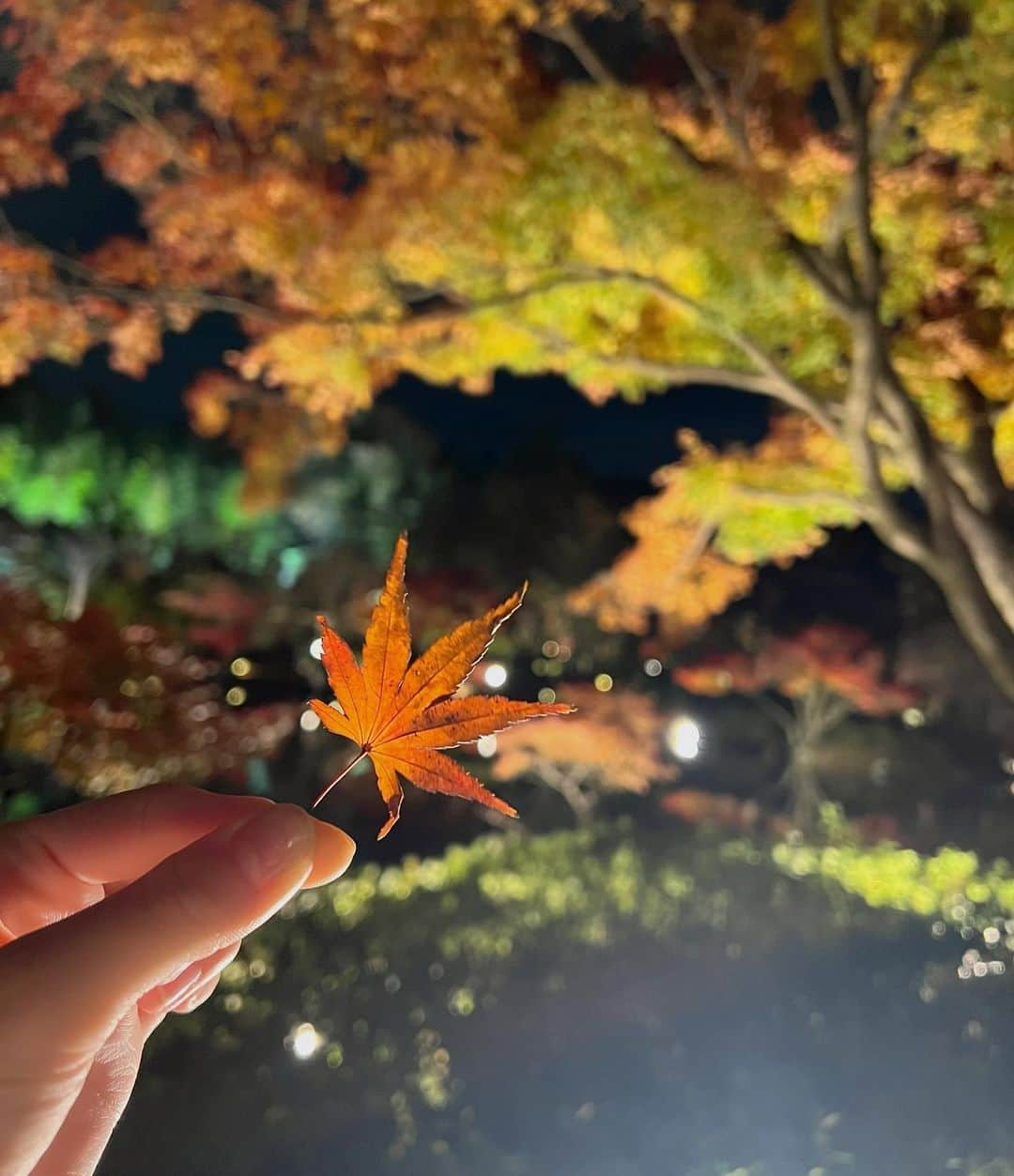 益田アンナさんのインスタグラム写真 - (益田アンナInstagram)「Twitterばっかり投稿してたらインスタの更新を忘れ、インスタハイペースで投稿しだしたらTwitterの更新を忘れる無限ループ🫠  レースクイーン大賞、ファーストステージも残りわずかです！ ほぼ毎日ストーリーに投票リンク貼ってるので皆さんポチポチお願いします🥹🙏」11月30日 13時50分 - anna_masuda