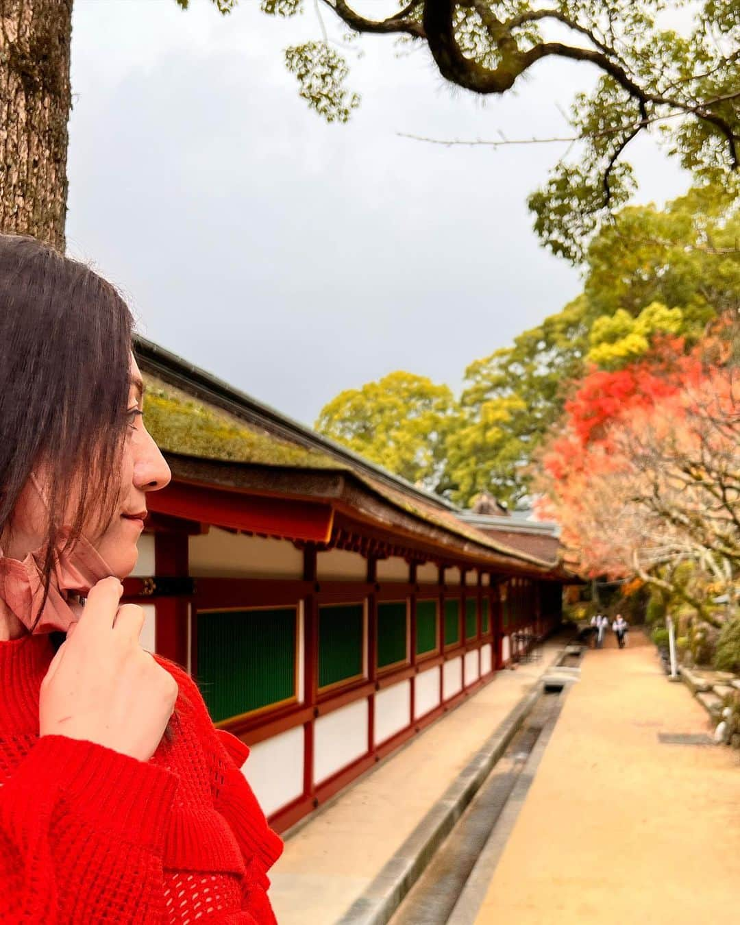 野々村友紀子さんのインスタグラム写真 - (野々村友紀子Instagram)「皆様、朝4時からの試合は見るのかな？ 私は（もし起きられてたら）絶対見る！  今日は早寝の人が多そうですね。  先日、お仕事の帰りに寄った福岡の太宰府天満宮のおみくじもワールドカップ仕様でした💙⚽️💙  えっwおみくじ青いねんけど！とヘラヘラめくってみればしっかり大吉！ やったでー！  日本も大吉で頑張れー💙  太宰府スタバはオシャレでした。 そしてしっかりサムライブルーが💙  ラーメンはタクシーの運転手さんオススメのところに決定。 💙shin shinさん💙 ここにもブルー！ そしてめっちゃくちゃ美味しいがな！！ 今までで一番美味しかった！  楽しい福岡でした。」12月1日 17時13分 - nonomura_yukiko