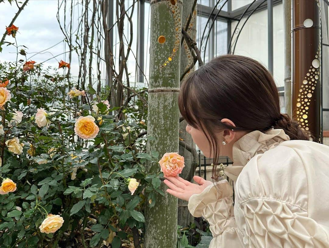 マーシュ彩さんのインスタグラム写真 - (マーシュ彩Instagram)「パンダ、竹、イルミネーション。きらきらと素敵な空間でした☺︎ この時期にぴったりですね✨ #ファンケル銀座スクエア」12月1日 18時47分 - ayamarshofficial