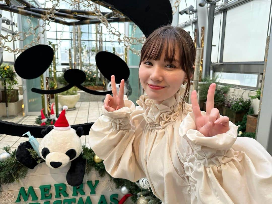 マーシュ彩さんのインスタグラム写真 - (マーシュ彩Instagram)「パンダ、竹、イルミネーション。きらきらと素敵な空間でした☺︎ この時期にぴったりですね✨ #ファンケル銀座スクエア」12月1日 18時47分 - ayamarshofficial