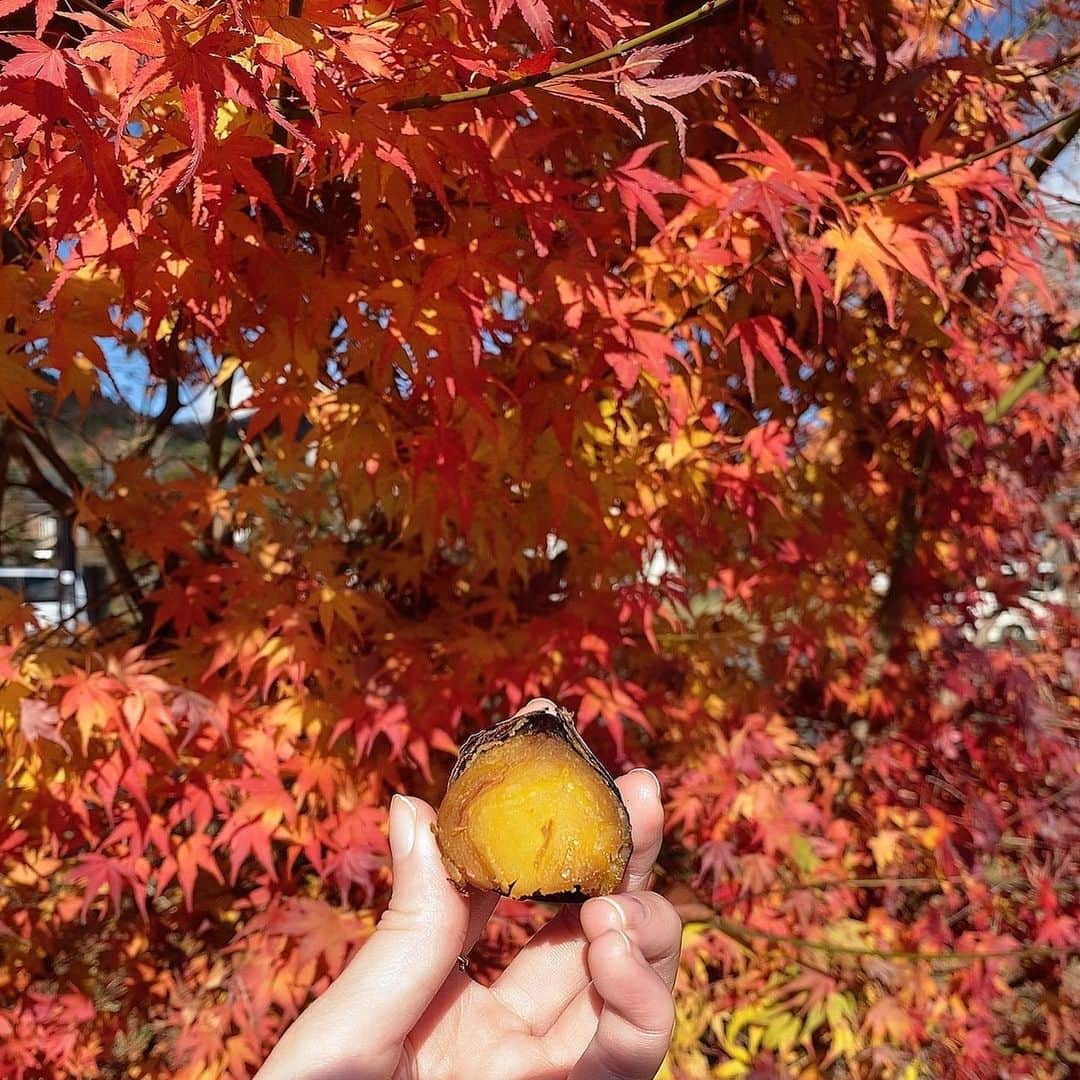 大島璃音さんのインスタグラム写真 - (大島璃音Instagram)「紅葉回廊🍁  少し前に行ったのですが、見頃でした✨✨ 今日は寒くて、もうこの頃の過ごしやすかった秋が恋しいです💭  #紅葉  #紅葉回廊  #もみじ回廊」12月1日 21時50分 - rinon_ohshima