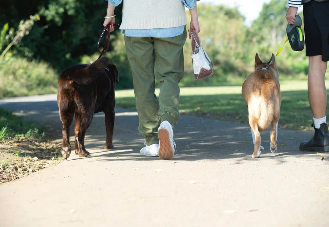 masakiさんのインスタグラム写真 - (masakiInstagram)「犬と人のストーリー ぼぼちゃんと福ちゃんと お散歩しながら 保護犬と暮らすということ、お話しました♡  別冊 @tennenseikatsu  保護犬と暮らすということvol.2 よかったら手にとってみてください🐕  ☆そして明日12:30より またお店からインスタライブお届けしますー♡」12月1日 21時55分 - mogurapicassowols