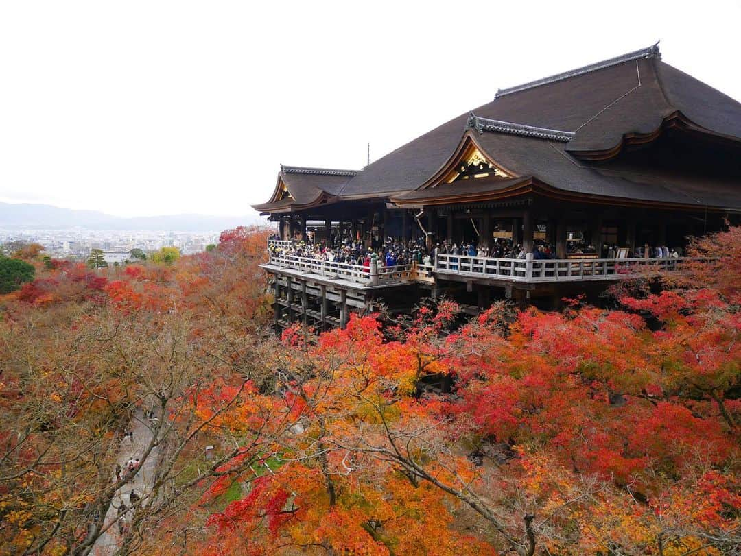 八鍬里美さんのインスタグラム写真 - (八鍬里美Instagram)「こないだの京都旅行続き🫶 2日目はお昼前に清水寺に行きました🍁 定番スポットだけどやっぱりキレイ！ 夜ライトアップされてるのも見たかったなぁ☺️✨ 次は着物を着たいです👘  お昼は楽しみにしてた湯豆腐！ 湯豆腐も天ぷらも超美味しかった(  ˊ͈ ˙̫ ˋ͈ )幸🫶🏻  #京都#清水寺#京都観光#湯豆腐#ミシェルマカロン#michellmacaron」12月2日 18時19分 - satomi_yakuwa