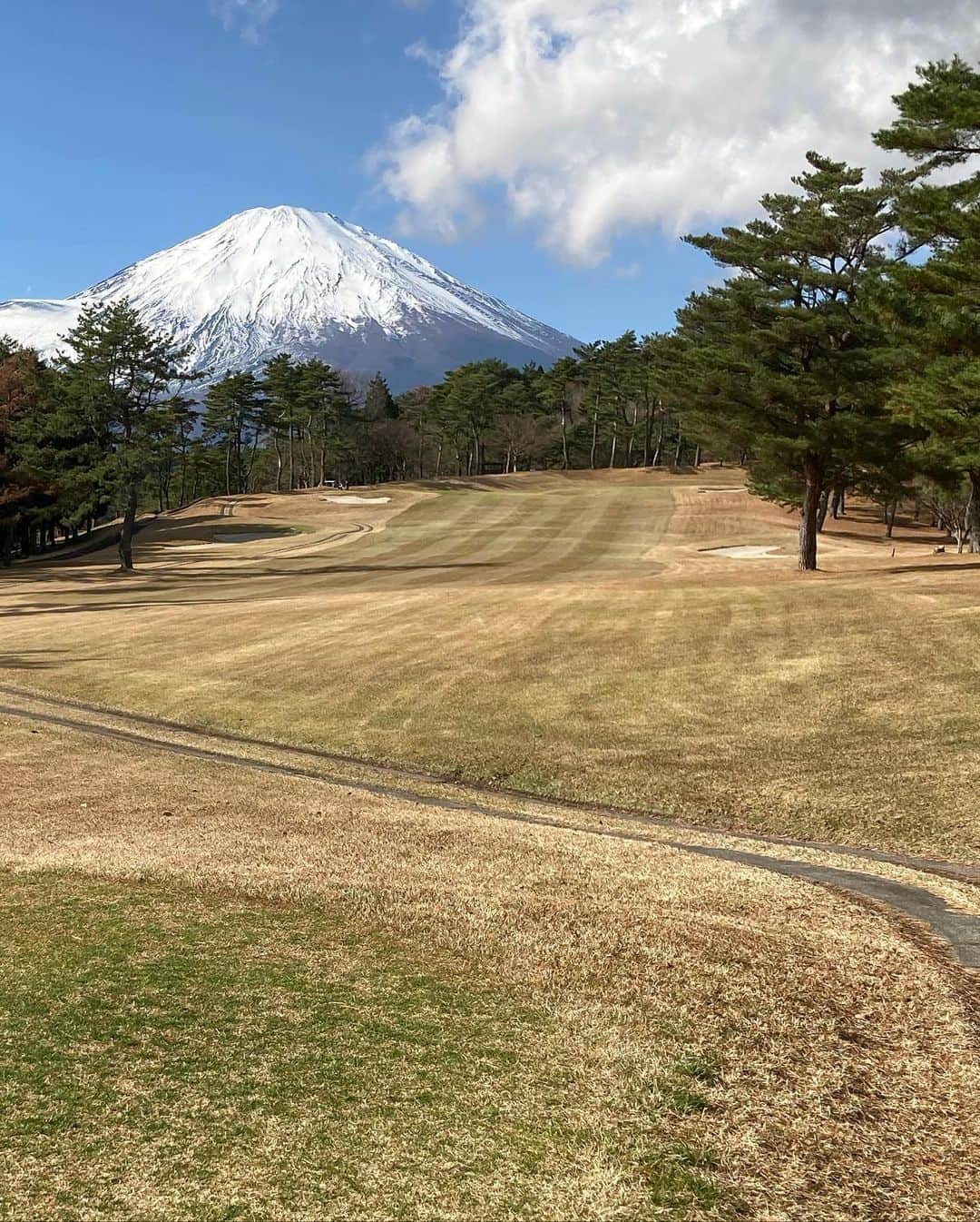 安藤優子さんのインスタグラム写真 - (安藤優子Instagram)「富士山とゴルフ‼️  美しい富士山を眺めながら、 仕事仲間とのゴルフ！  風がちょっと冷たい一日ではありましたが、雪景色の富士山がとっても壮麗でした。  仲間とのゴルフはやっぱり楽しいもんです。  スコアは⁇  楽しいのが一番です‼️  さっ渋滞に巻き込まれないうちに戻ります。  リンは我が家のスーパーお手伝いさんと本日はお留守番です。  #富士国際ゴルフ倶楽部   #フレンチブルドッグ  #安藤優子」12月3日 15時21分 - yukoando0203