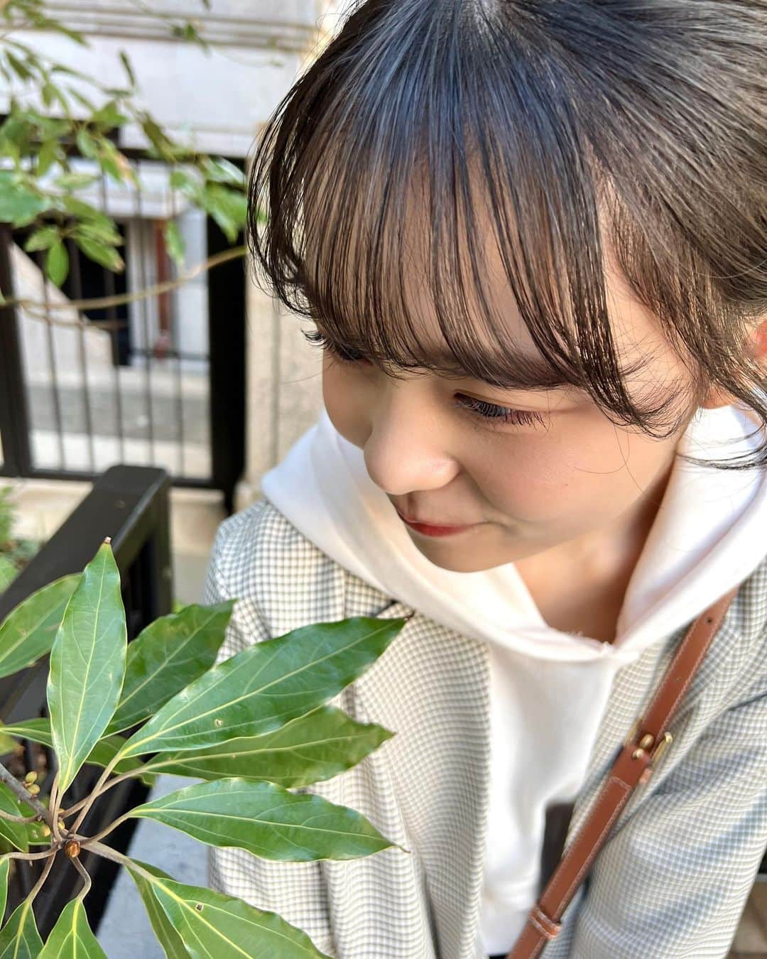 林芽亜里さんのインスタグラム写真 - (林芽亜里Instagram)「🎀 ⁡ ちょっくらカジュアルめあり🥯 ⁡でもリボンは忘れられませんでした。😂 ⁡ 葉っぱを見つめて自然を感じました🌿.∘笑 ⁡ 寒くなってきたから体調崩さないでね~！ 私は元気もりもりだよ~✌️ ⁡ ⁡ #林芽亜里 #めありぼん #mystywoman」12月3日 17時22分 - meari__hayashi