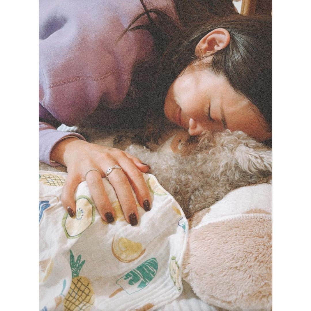 紗栄子さんのインスタグラム写真 - (紗栄子Instagram)「一昨日の夜、愛犬のdollが虹の橋を渡りました。  幼少期から数々の病気を乗り越えてきて、一時は余命4ヶ月と宣告されたこともあったのに、17歳10ヶ月という大往生を遂げてくれました。  無垢な愛を教えてくれたのはdollでした。  どんな時でも気高い彼女の姿に学ばせてもらうことがたくさんありました。  上京したての頃、1人で寂しい毎日を過ごしていた私の元にやってきてくれて、一緒に日々の幸せをたくさん見つけて過ごしてきました。  子供が生まれてからは、共に子育てもしてくれました。  最後のその時も、私のことを待っていてくれて、私の腕の中で旅立っていきました。  アメブロ時代から応援してくださっていたかたは、dollのことを見かけなくなって心配をしてくださっていたかもしれませんが、晩年の弱った姿を皆様にお見せするのはdollも嫌なんじゃないかと思い、控えておりました。  dollのことを気にかけてくださった皆様に心から感謝申し上げます。  そして今年は私にとって辛い別れが続いております。  覚悟を持って始めた保護馬活動ではありますが、何度経験しても慣れることのないこの悲しみや辛さを、今後もたくさん経験していくこととなります。  心折れながらも、それでも人の都合で失われてしまう動物たちの命を守る場所として  行き場のなくなった彼らの安住の場所として   @nasufarmvillage が傷ついたたくさんの動物たちに安らぎと希望を与えられる場所となるように、より経済活動に力を入れて1頭でも多くの命を救い守っていきたいと思います。  最後のその時はとても辛いですが、あたたかく送り出してあげることのできるこの場所で、私に与えられた役目を、使命を全力で全うしていきたいと思います。  今後も前向きな投稿だけではなく、悲しいお知らせや弱音を吐いてしまうこともあるかもしれませんが、皆様今後ともよろしくお願い致します。  そしてどーちゃん、ありがとう。  よく頑張ったね。  ずっとずっと愛してるよ。」12月4日 2時01分 - saekoofficial