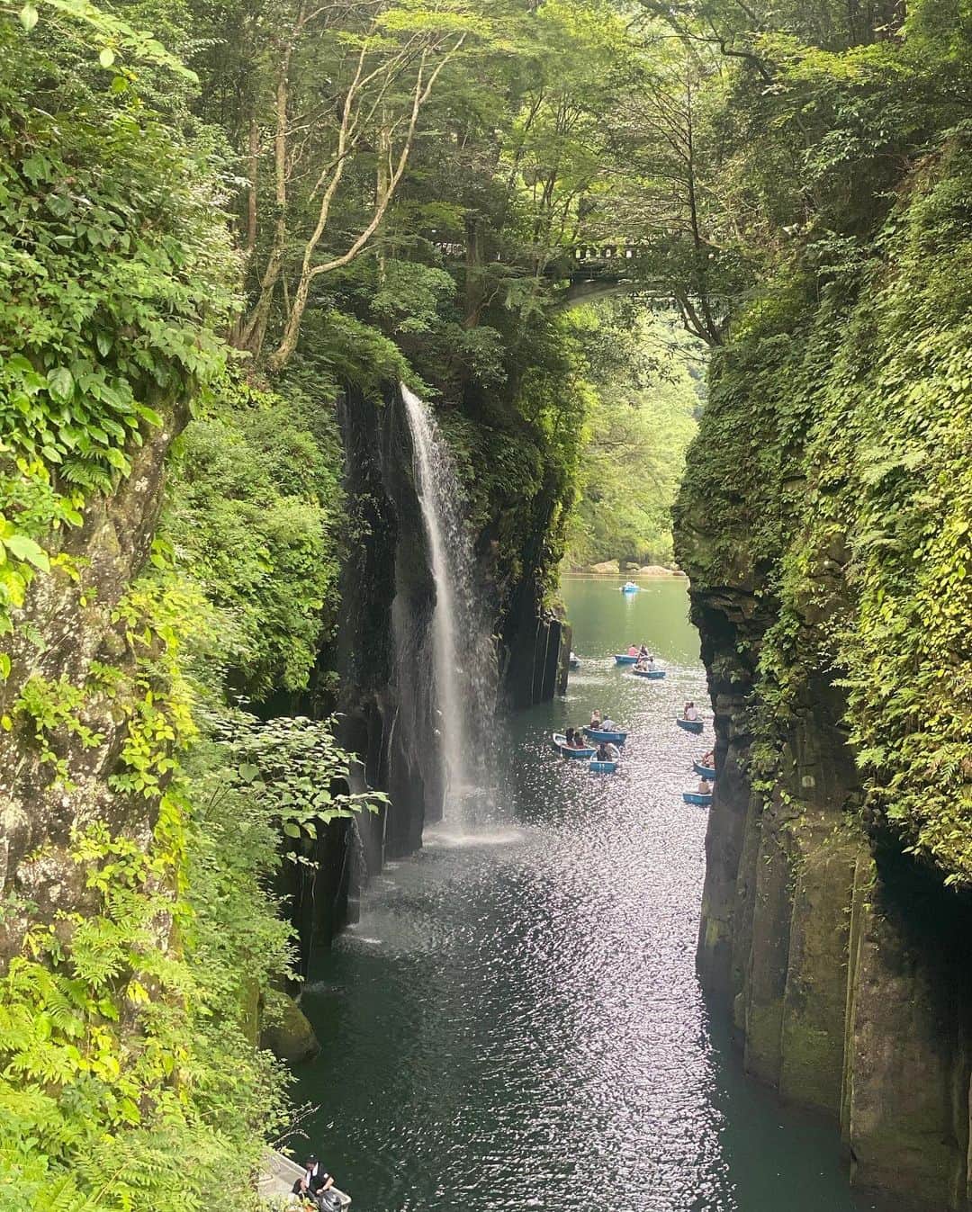 倭早希さんのインスタグラム写真 - (倭早希Instagram)「雨女発揮しまくった九州🥲☔️笑 でも自然に癒された🌲🤍  . . . #九州旅行#熊本#熊本旅行#阿蘇#阿蘇くじゅう国立公園#大観峰#田楽の里#草千里ヶ浜#宮崎#高千穂峡 #大分#アフリカンサファリ#旅行#🦁#☔️」12月4日 6時13分 - saki_yamato_