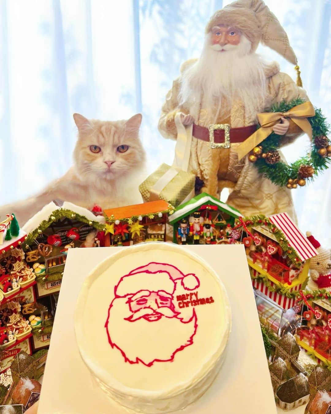 小越しほみさんのインスタグラム写真 - (小越しほみInstagram)「サンタさんのイラスト描いて Xmasケーキ作ってみたよ🎅🏻  おしゃれ感出したくて リアルめサンタさんにしたんだけどどうかな？  カスタムケーキにしようかと思ってたんだけど  @cakeshop.jp にフォトプリントケーキもあったから せっかくだし完全オリジナルにしてみた🎂🤍  ヨーコさん(母)(クリスマス狂)の Xmasグッズと撮影してたら承太郎が未だかつてないほどの カメラ目線でモデル立ちしてくれたよ🤣  甥っ子と姪っ子がうちに来てるので このケーキで早めのクリパしました👼🏻  . . . . . . .  #Xmas #クリスマスケーキ #クリスマス #cakeshop #xmascake #christmas #クリスマスパーティー #christmascake #フォトプリントケーキ #カスタムケーキ #christmasparty #xmasparty #猫 #ねこ #ネコ #cat #猫のいる暮らし #猫好きさんと繋がりたい #マンチカン #ねこすたぐらむ #ねこのいる生活 #猫好き #イラスト #サンタイラスト #クリスマスイラスト」12月4日 19時04分 - shihomi1129