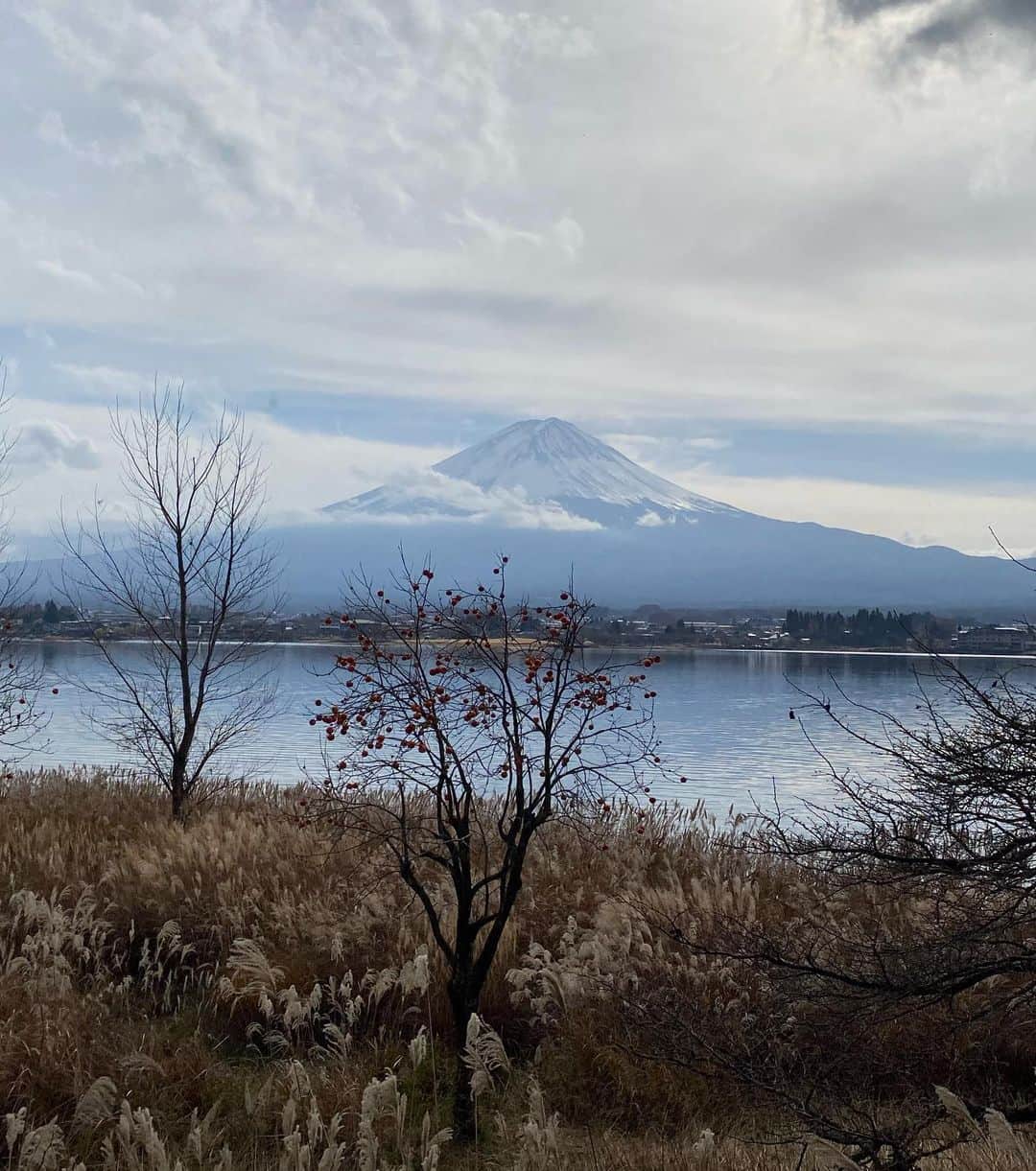 滝川クリステルさんのインスタグラム写真 - (滝川クリステルInstagram)「先日、アリスさんを連れて富士山の近くへ。 晴天で本当に綺麗な富士山でした💕 アリスさんは、実は最近何度か心配になる病状が出てきて毎回これで寝たきりになってしまい、旅はできなくなるのか、、と落ち込んでいたのですが、アリスさん、毎回復活してくれて😭　 こうやってまた一緒に旅できることが幸せで😭 当たり前に色んな場所に出かけられていたのができなくなることを 大型犬の場合、覚悟しないといけないですよね、、 でも、今回も元気になってくれたアリスさんに本当に感謝🥲 もうじき15歳。もっと一緒に旅しようね🌈🚗 #保護犬 #アウトドア #滝川クリステル #河口湖」12月5日 18時40分 - christeltakigawa