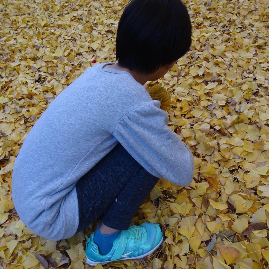 村山輝星さんのインスタグラム写真 - (村山輝星Instagram)「📮こんな写真が届いていました 💭  🍂  草木が綺麗に色付いて参りました。秋ですね！  輝星が、 『ちょっとこっち見ないで。』 と言うので何をしてるのかと思ったら、 『お花～！』 とイチョウの葉を束ねて作ったブーケを見せてくれました。  あら、ありがとう💓！  本当のお花みたいに綺麗。 しかも、ぎんなんの香り付きッ！！  by きらり母  🍂  #村山輝星 #劇団東俳 #Tプロジェクト #子役 #イチョウ #銀杏 #秋？ #冬？ #とっても寒くなってきましたね #寒 #もう12月」12月5日 20時59分 - murayama_kirari_staff