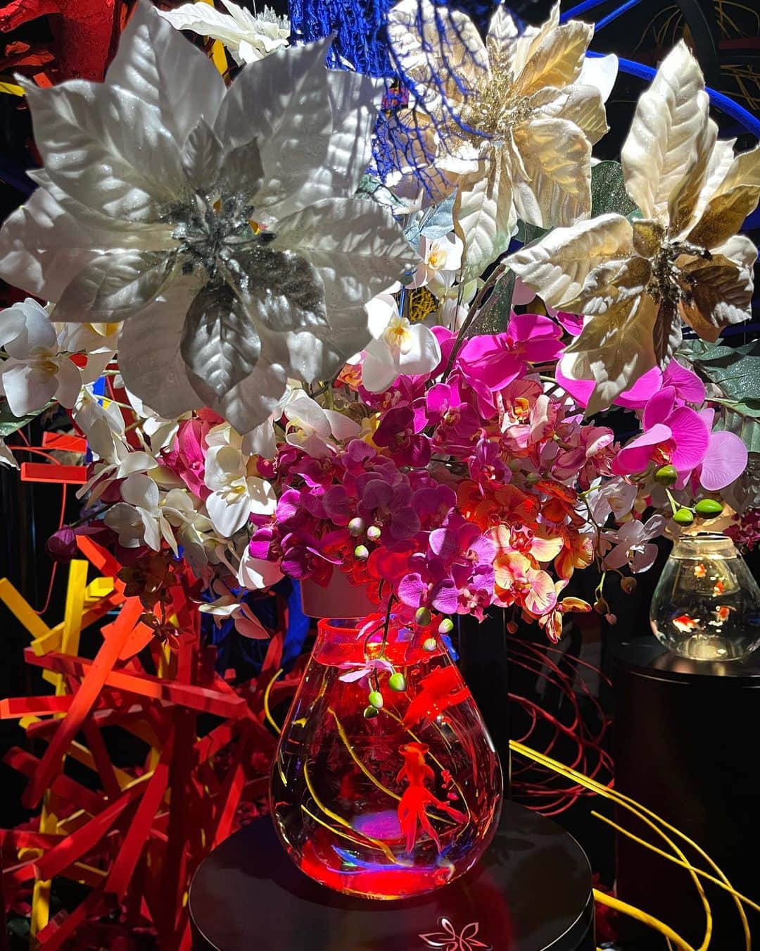 宮村ななこさんのインスタグラム写真 - (宮村ななこInstagram)「Art aquarium.  #art  #artaquarium  #flower  #flowers  #flowerstagram  #photo  #photography  #アートアクアリウム  #アートアクアリウム銀座」12月6日 22時37分 - miyamuchan_001
