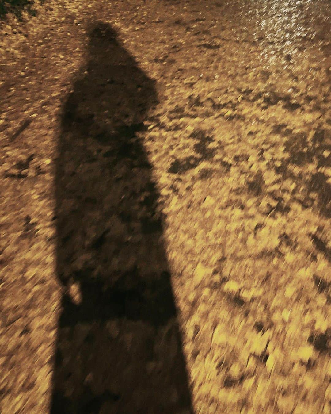 秋元真夏さんのインスタグラム写真 - (秋元真夏Instagram)「.  ひとりでお散歩すると データフォルダがいっぱいになる☺️📸」12月6日 23時26分 - manatsu.akimoto_official