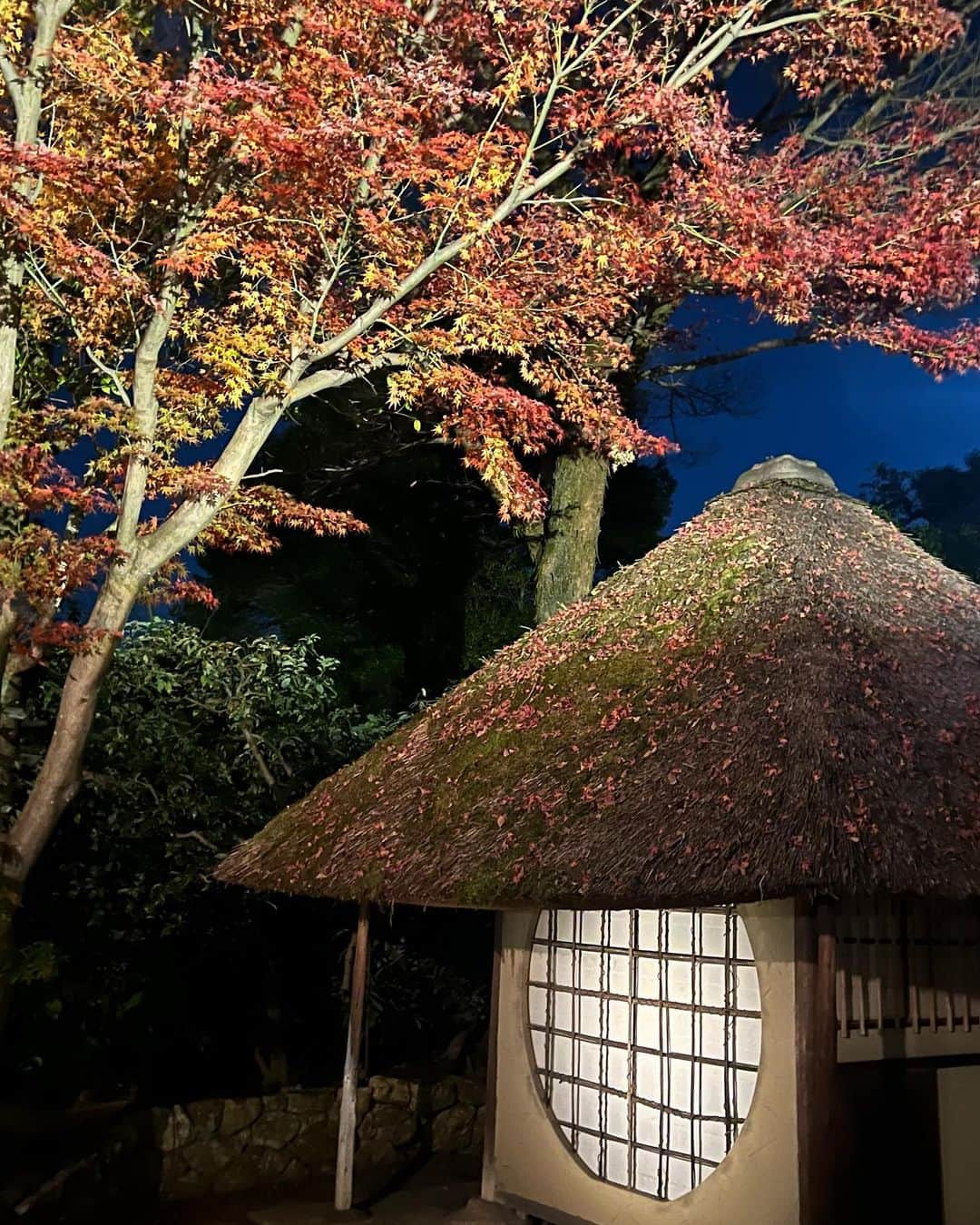 yuukachiさんのインスタグラム写真 - (yuukachiInstagram)「京都 紅葉🍁⠜   今年も行けた♡  このアウターと中のワンピースは @_ramune.official ので ショートブーツは @grl_official だよ！！」12月7日 21時30分 - yuuka_stagram