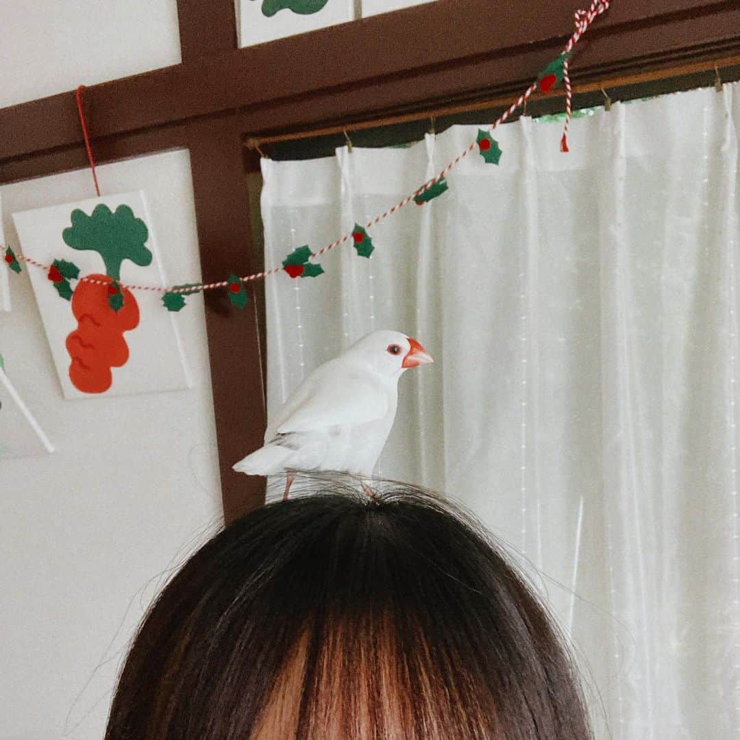 小島藤子さんのインスタグラム写真 - (小島藤子Instagram)「マイベストフレンドぴちまる。」12月7日 22時22分 - fujisan1216