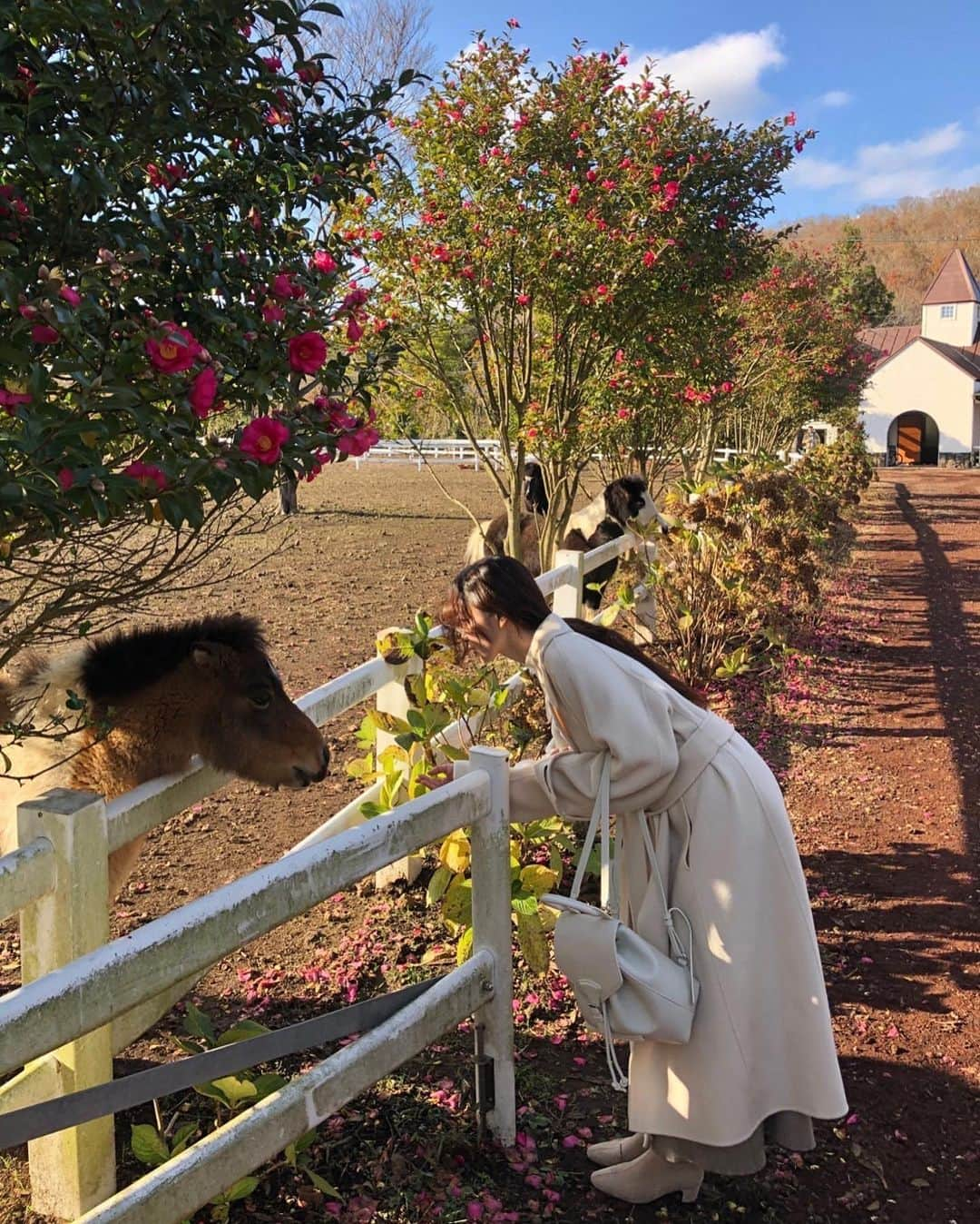 キム・ナヒさんのインスタグラム写真 - (キム・ナヒInstagram)「🌺」12月8日 20時51分 - knhs2