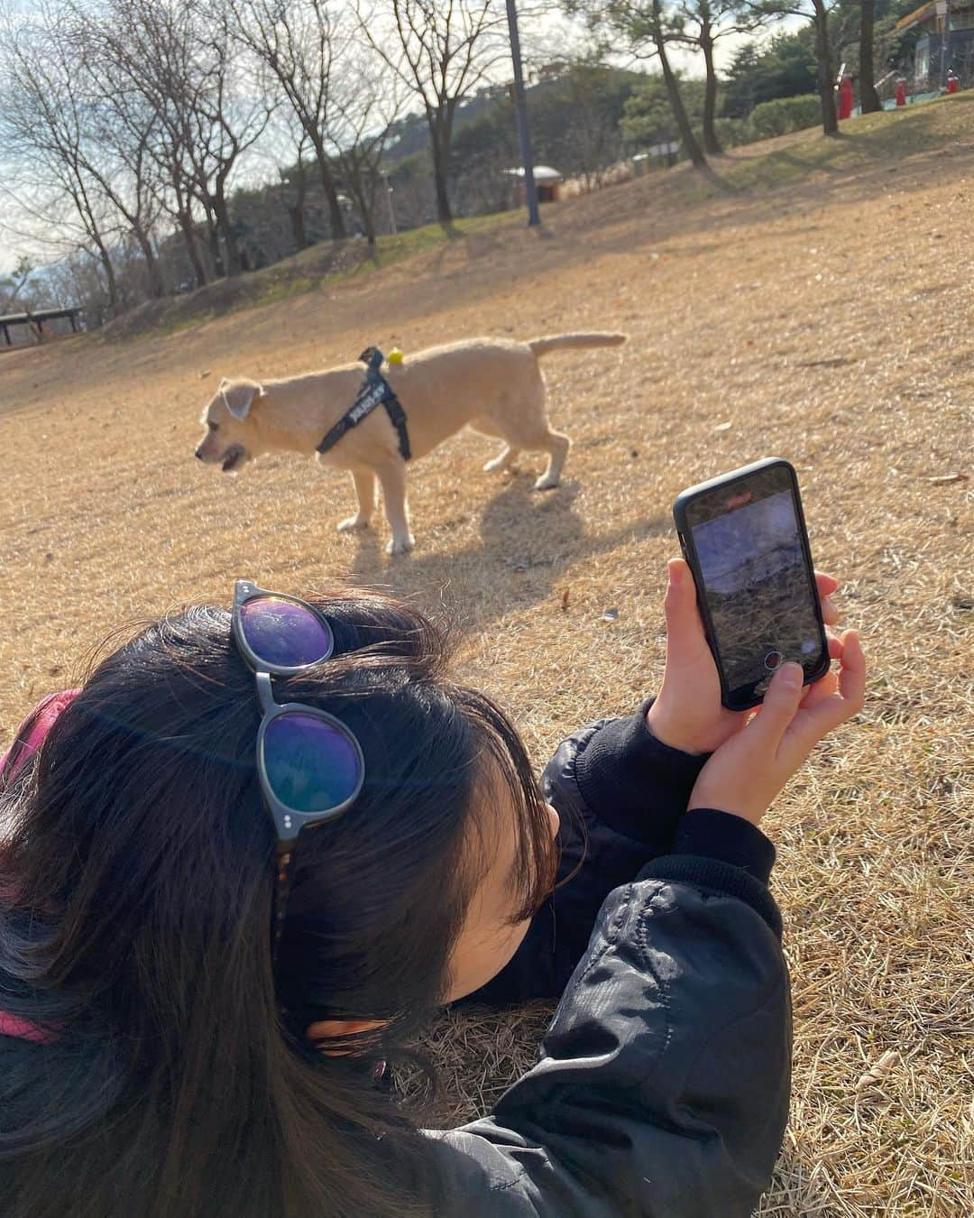 イ・ジュヨンさんのインスタグラム写真 - (イ・ジュヨンInstagram)「티그랑 겨울나들이」12月9日 0時05分 - i_icaruswalks