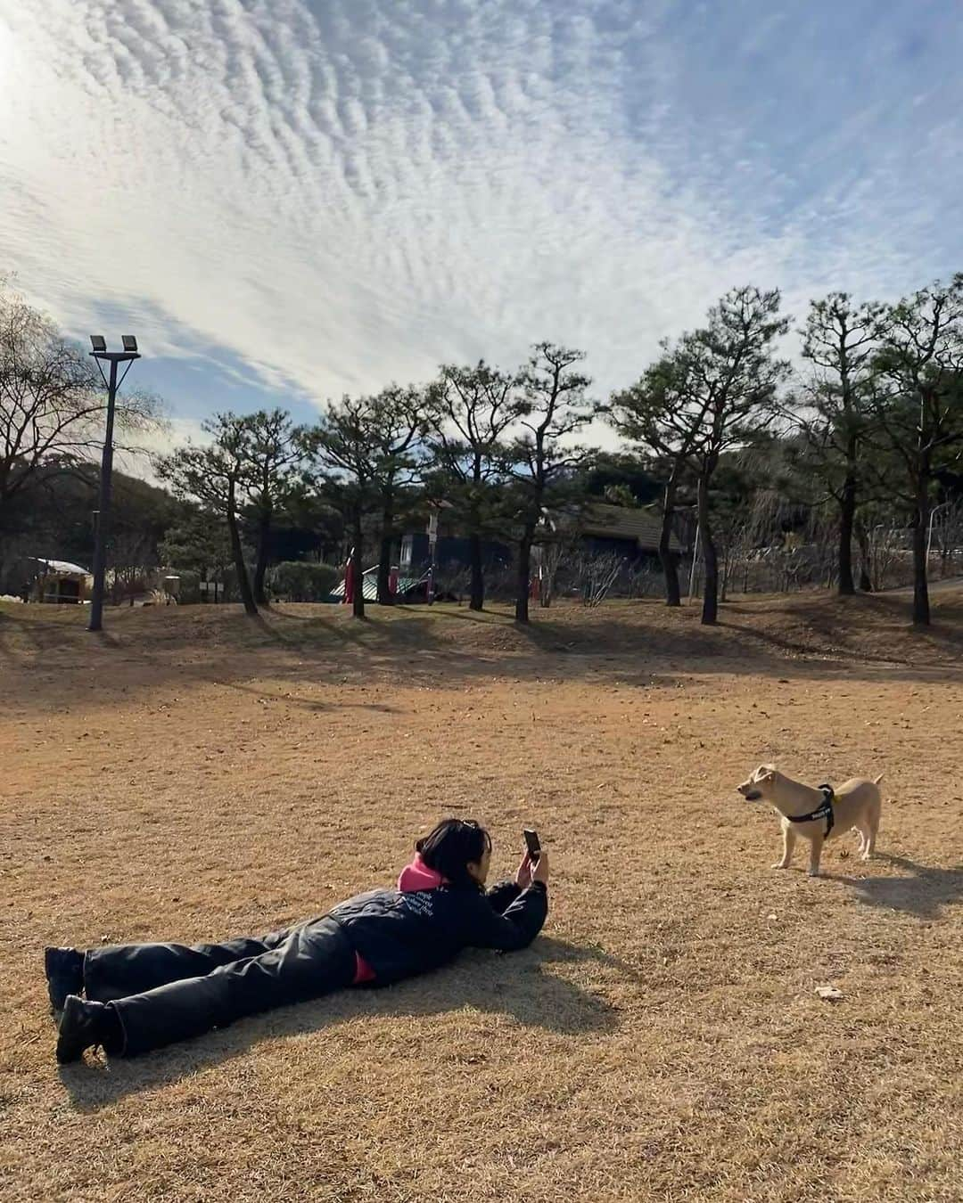 イ・ジュヨンさんのインスタグラム写真 - (イ・ジュヨンInstagram)「티그랑 겨울나들이」12月9日 0時05分 - i_icaruswalks