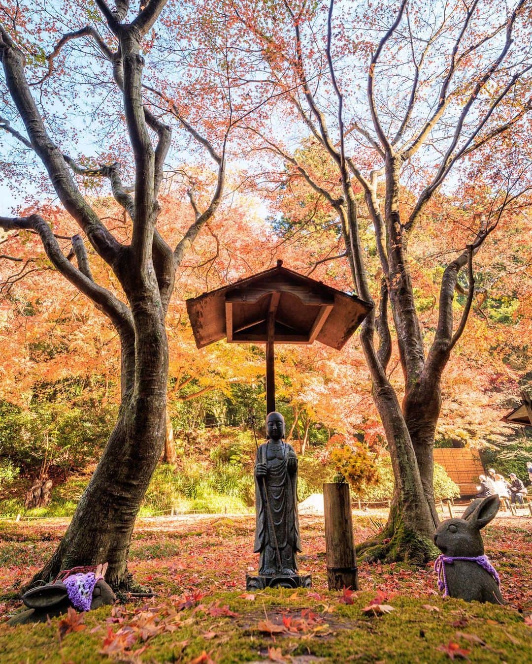 SHOCK EYEさんのインスタグラム写真 - (SHOCK EYEInstagram)「2022年紅葉色々🍁  自然が作り出す色彩。 紅葉の時期はほんの一瞬。  桜も同じで、 儚いから美しい。  逆に言えば、  美しいものは儚いのかもしれないよね。  そして、そんな儚いものに僕らは惹かれてしまう。  #地蔵院 #明月院 #浄智寺 #念仏寺 #高尾山 #紅葉 #japantravel #japantrip #canon #canonR5 #beautifuldestinations #discoverjapan #discoverearth #voyaged #awesome_photographers #IamATraveler #wonderful_places #japanphoto #japanphotography #japan_of_insta #livingonearth #theglobewanderer #temple」12月10日 13時36分 - shockeye_official