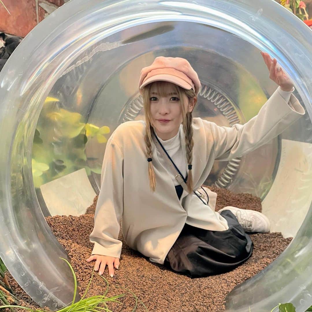 上矢えり奈さんのインスタグラム写真 - (上矢えり奈Instagram)「＊-＊-＊-＊-＊-＊-＊-＊. . ジブリの大倉庫 『床下の家と小人の庭』 借りぐらしのアリエッティに なった気持ちで散策🚶‍♂️  葉にしたたる雫がリアルだったり、 小人になって瓶に入ったり、 あの角砂糖と置き手紙もあったり！！  リアルなアリエッティのおうちもあって、 画面で見てた世界だ〜！って 感動した🥺🥺 . erina. . ＊-＊-＊-＊-＊-＊-＊-＊. . #ジブリパーク　#愛地球博記念公園　#ジブリの大倉庫　#床下の家　#小人の庭　#借りぐらしのアリエッティ　#上矢えり奈」12月11日 15時14分 - k.erinyann
